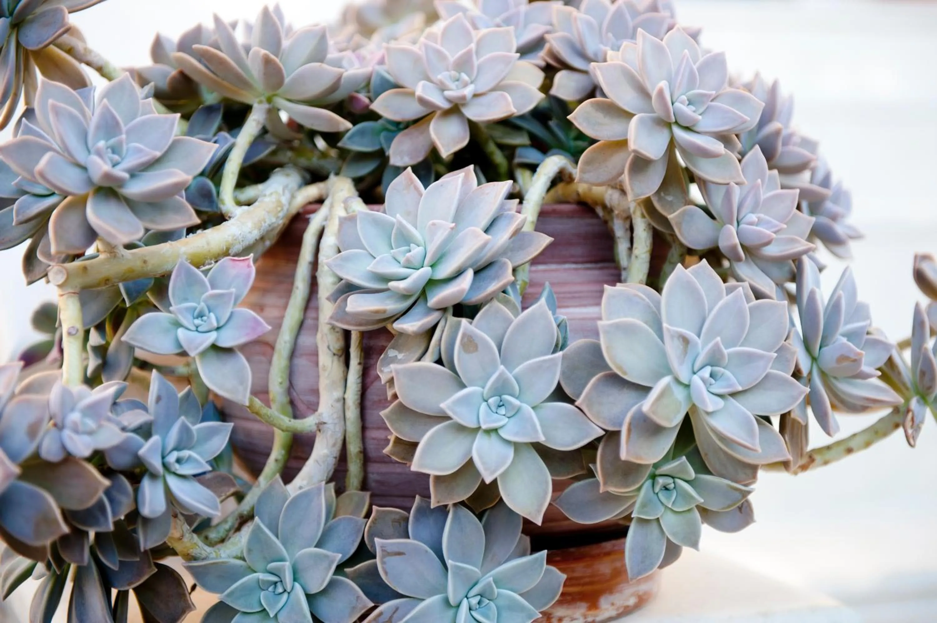 Property building in Georgio Seaside Hotel