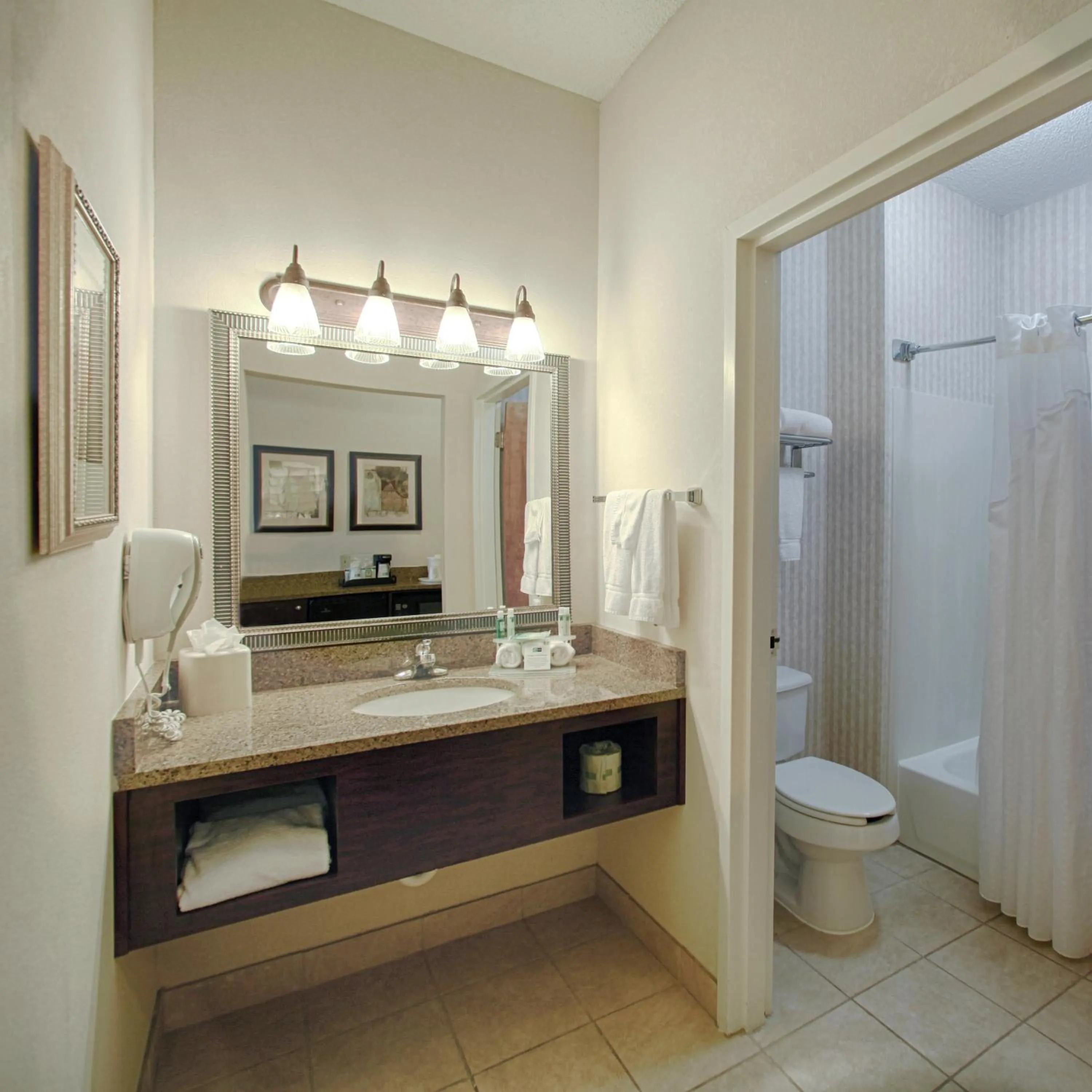 Bathroom in Holiday Inn Express Hotel & Suites - Atlanta/Emory University Area by IHG