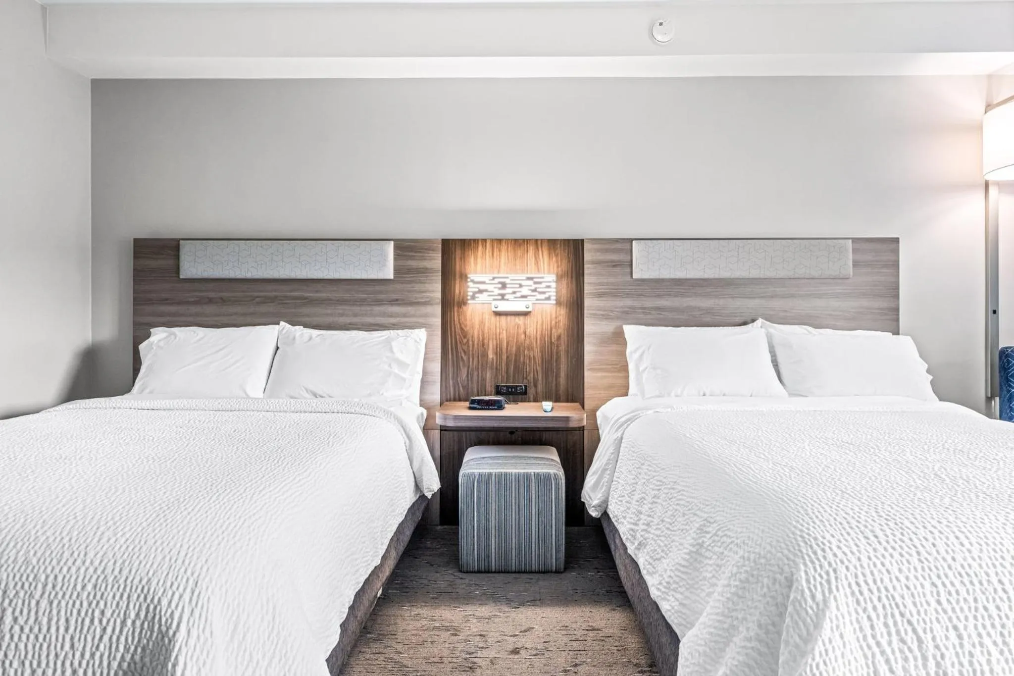 Photo of the whole room, Bed in Holiday Inn Express & Suites Carneys Point - Pennsville by IHG