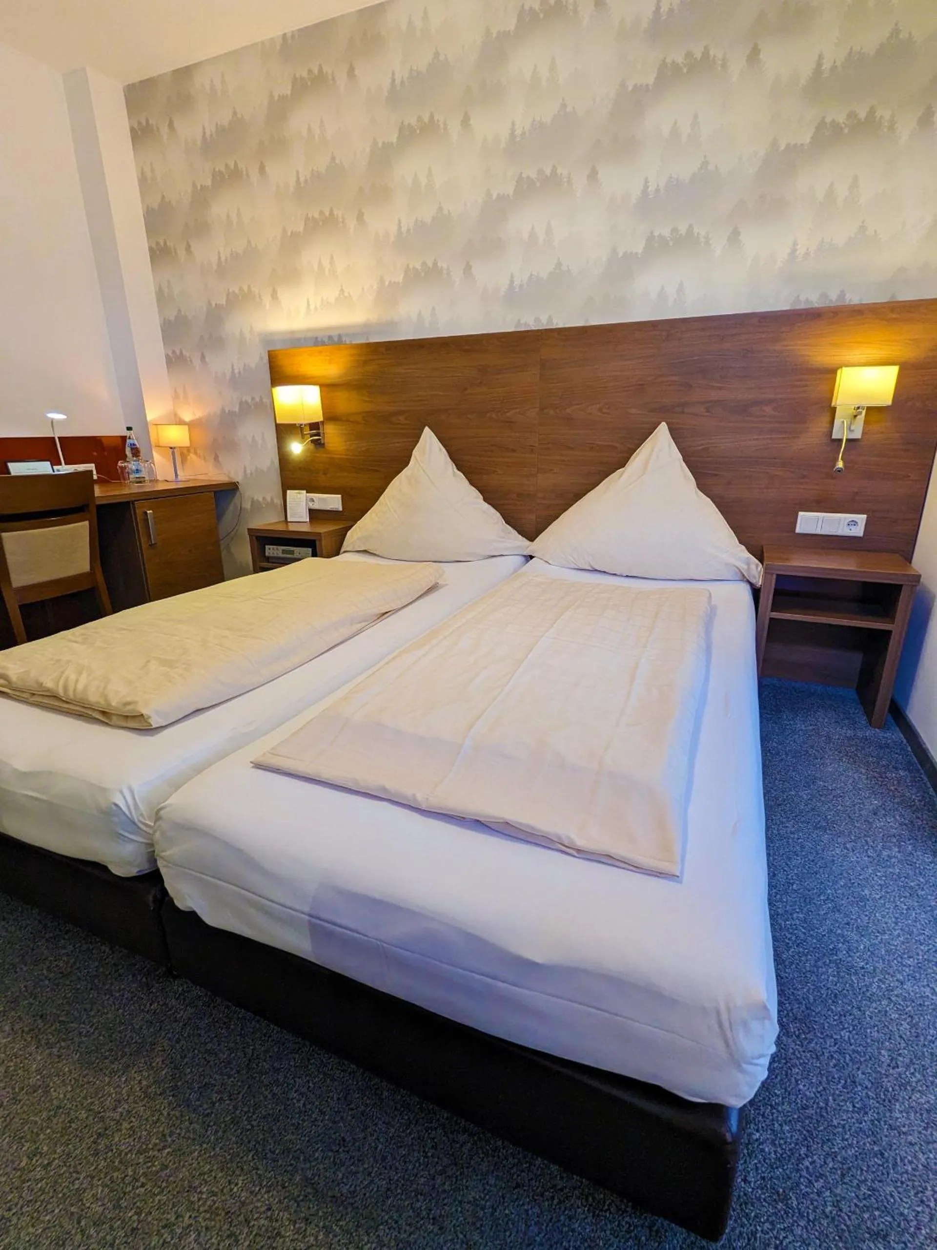 Bedroom, Bed in Hotel Berghof Wasserkuppe & Gästehaus Fuldaquelle