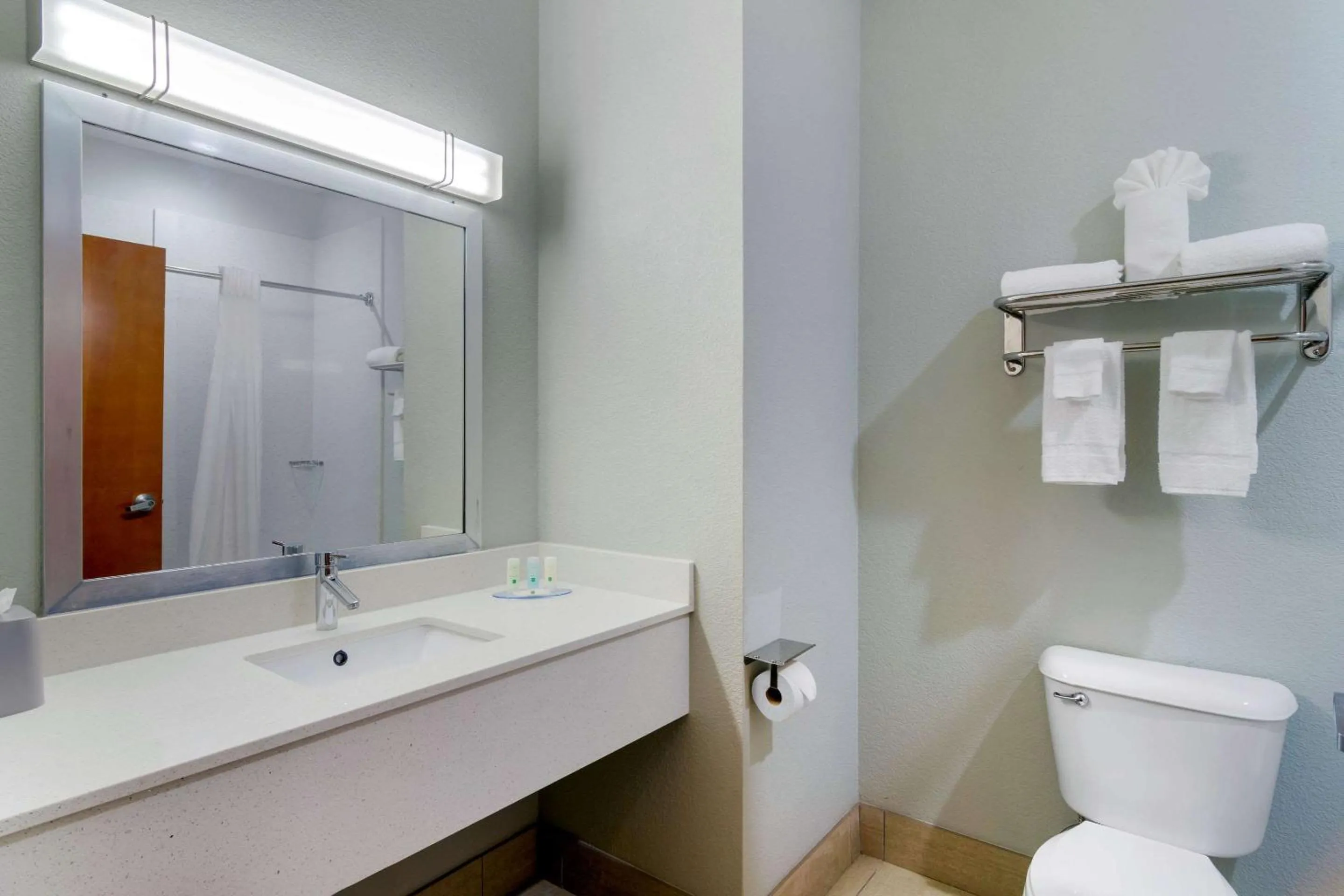 Bathroom in Quality Inn & Suites Decatur - Atlanta East