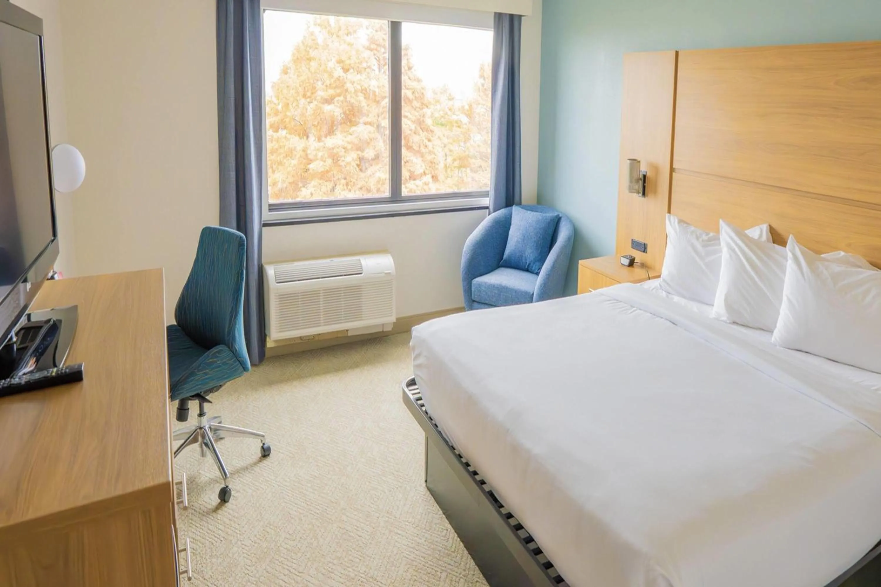 Photo of the whole room in Elimwood Hotel, a Ramada by Wyndham