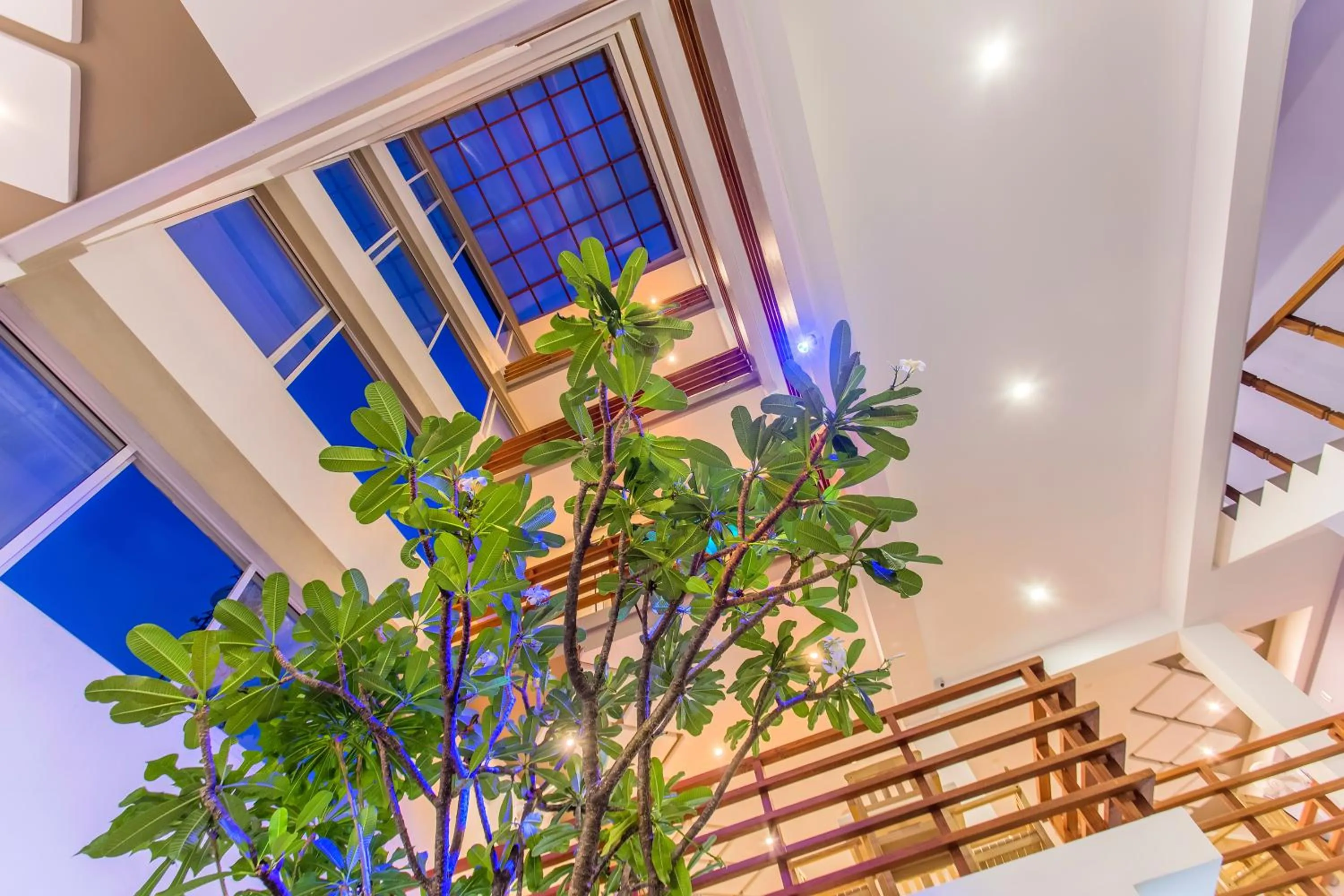 Lobby or reception in Kuredhi Beach Inn