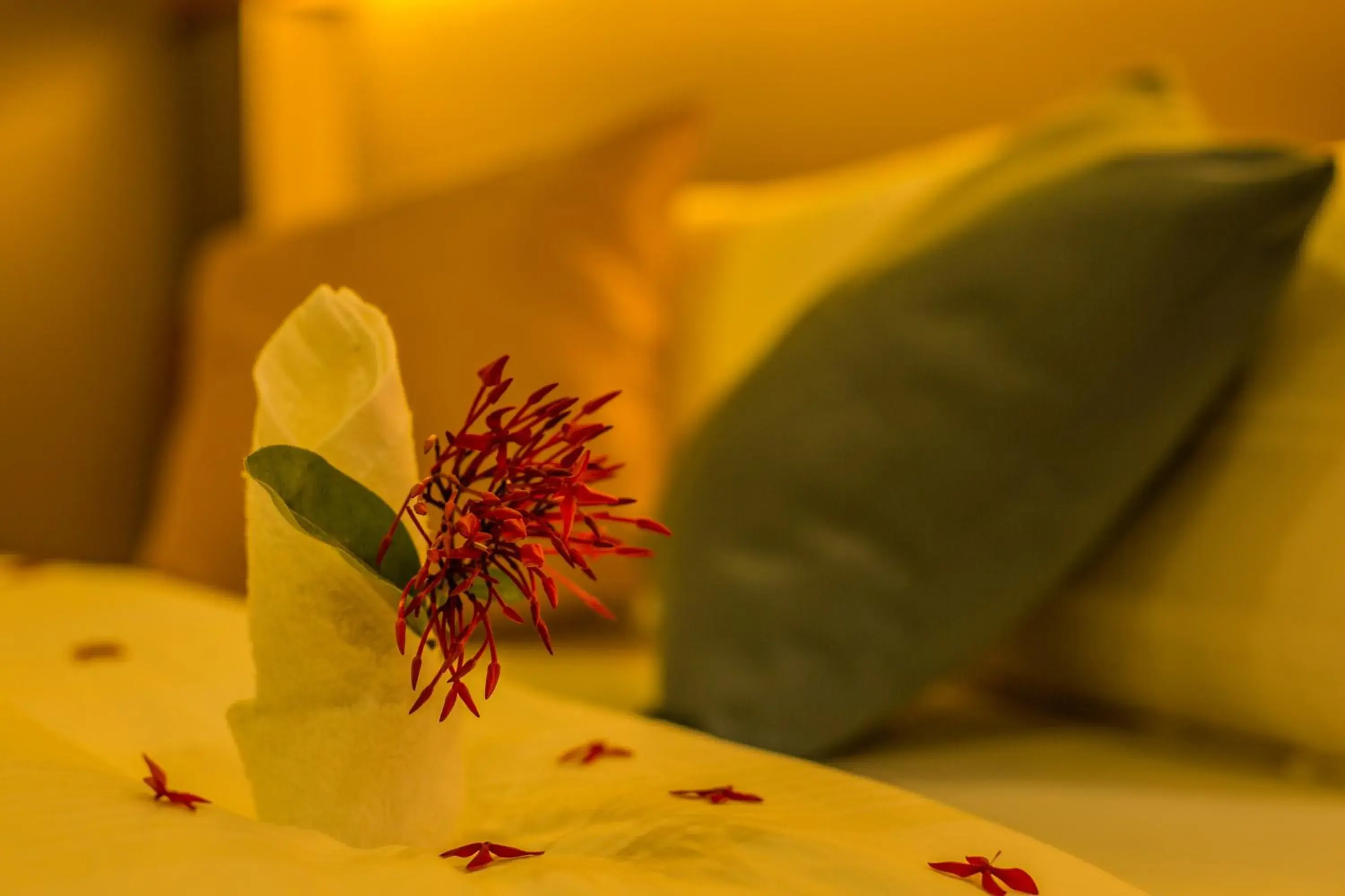 Bed in Kuredhi Beach Inn Bed in Kuredhi Beach Inn