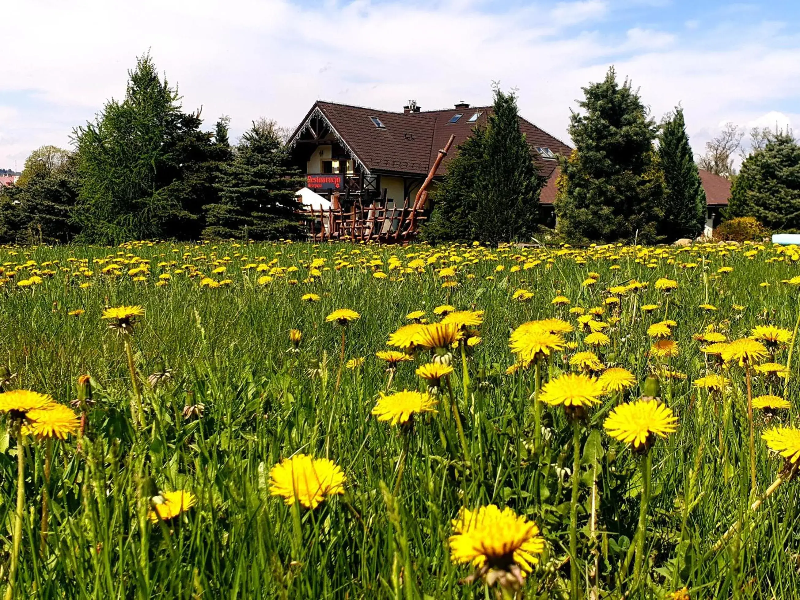 Tajemniczy Ogród Szczytna - Bed & Breakfast Tajemniczy Ogród Szczytna - Bed & Breakfast