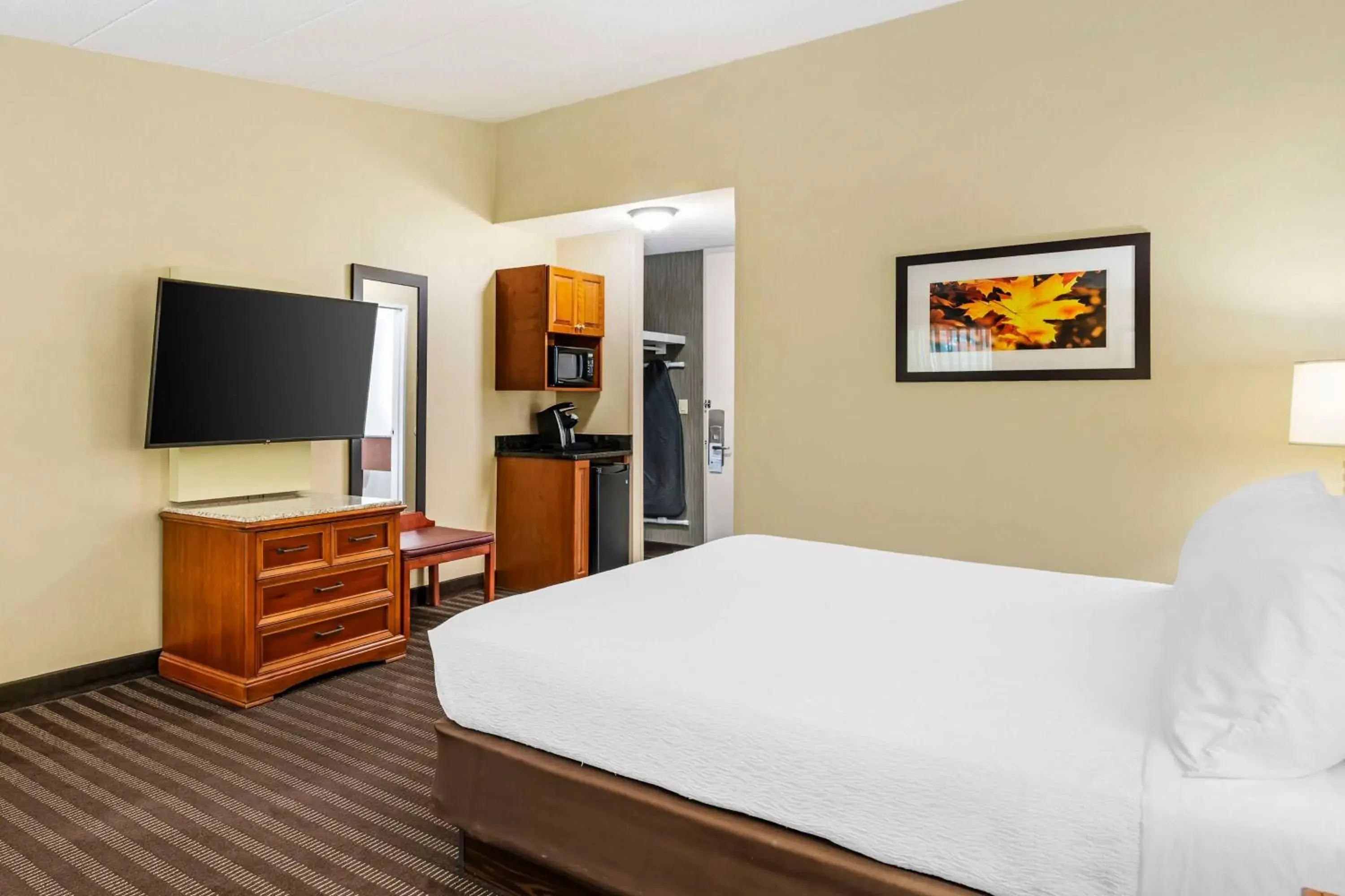 Large King Room - Non-Smoking in Best Western Springfield Hotel Large King Room - Non-Smoking in Best Western Springfield Hotel