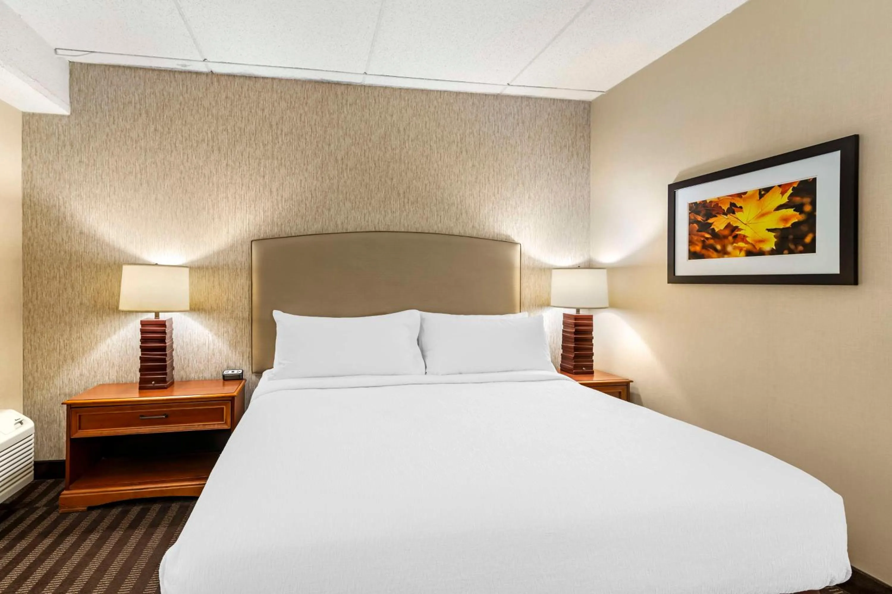 Bedroom, Bed in Best Western Springfield Hotel