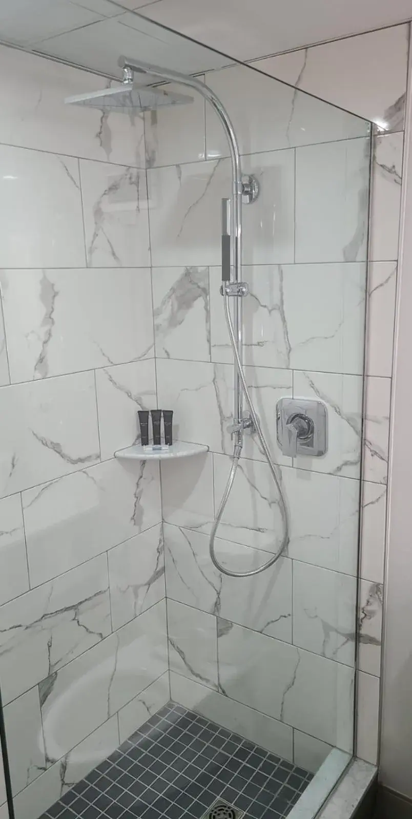 Shower, Bathroom in E Hotel Banquet & Conference Center