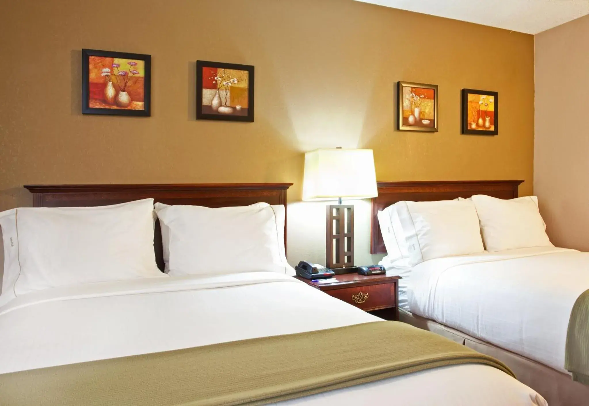 Photo of the whole room, Bed in Holiday Inn Express Schaumburg-Rolling Meadows by IHG Photo of the whole room, Bed in Holiday Inn Express Schaumburg-Rolling Meadows by IHG