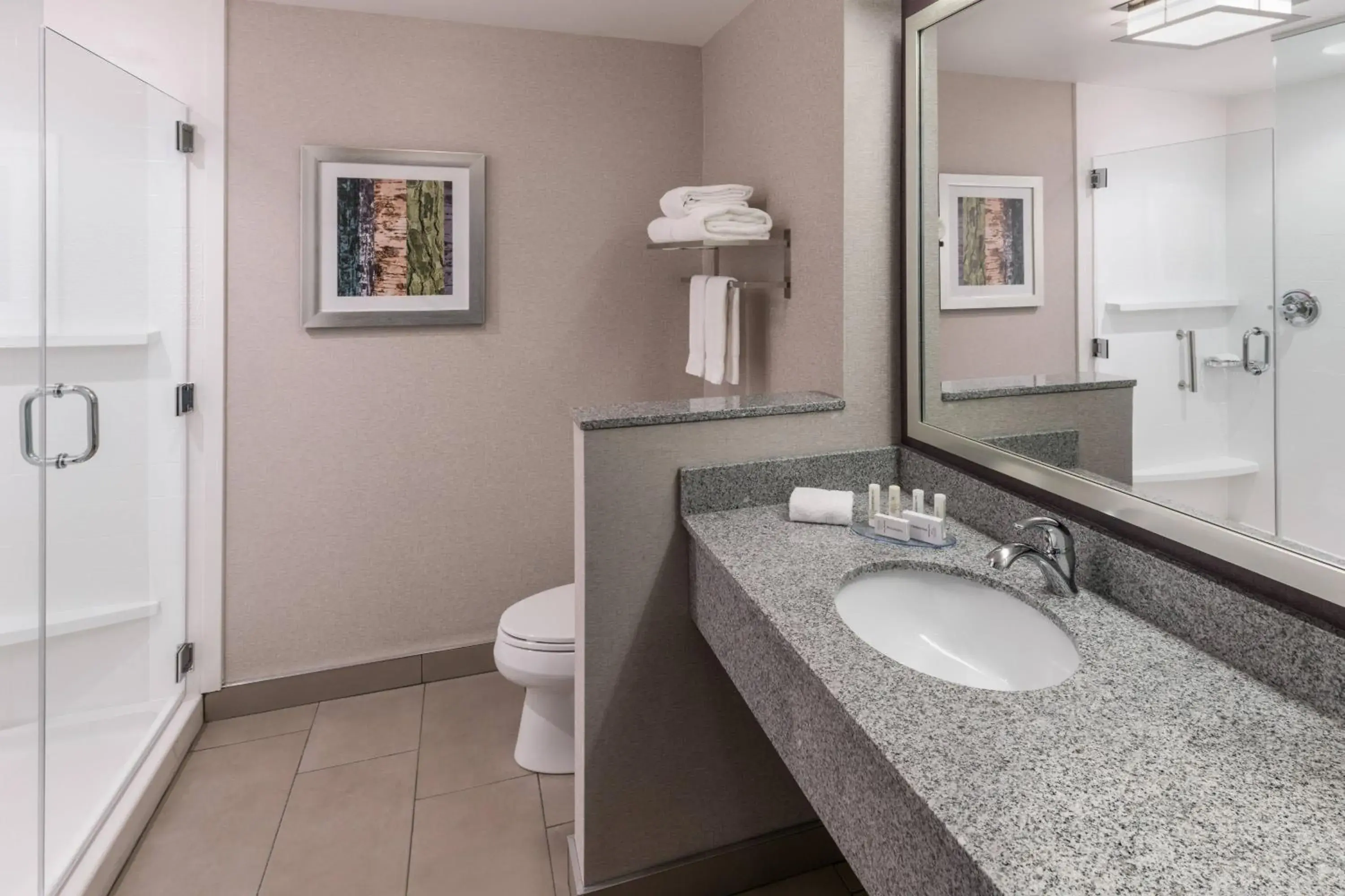 King Suite in Fairfield Inn & Suites by Marriott Chicago Schaumburg King Suite in Fairfield Inn & Suites by Marriott Chicago Schaumburg