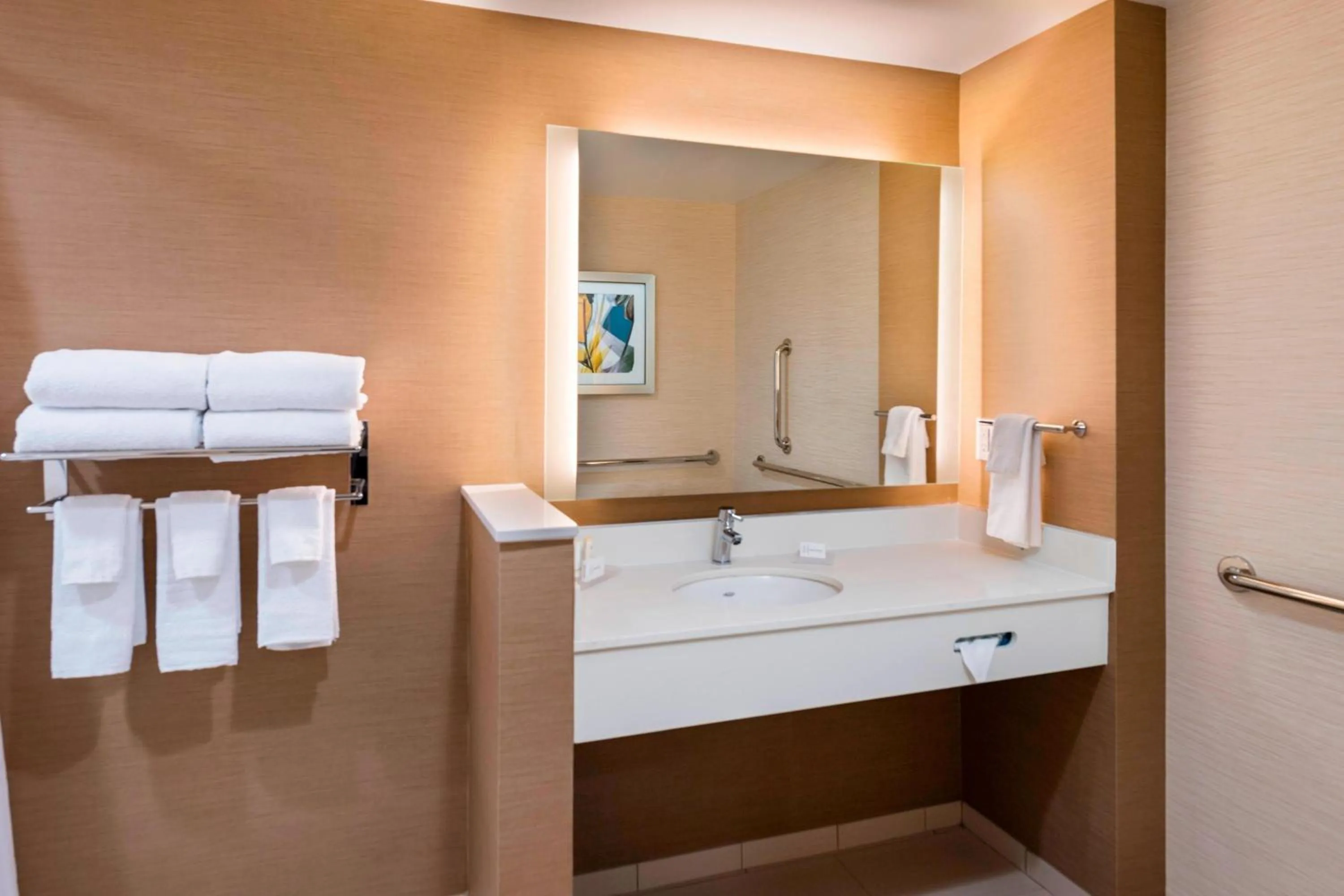 Bathroom in Fairfield Inn & Suites by Marriott Dallas Waxahachie