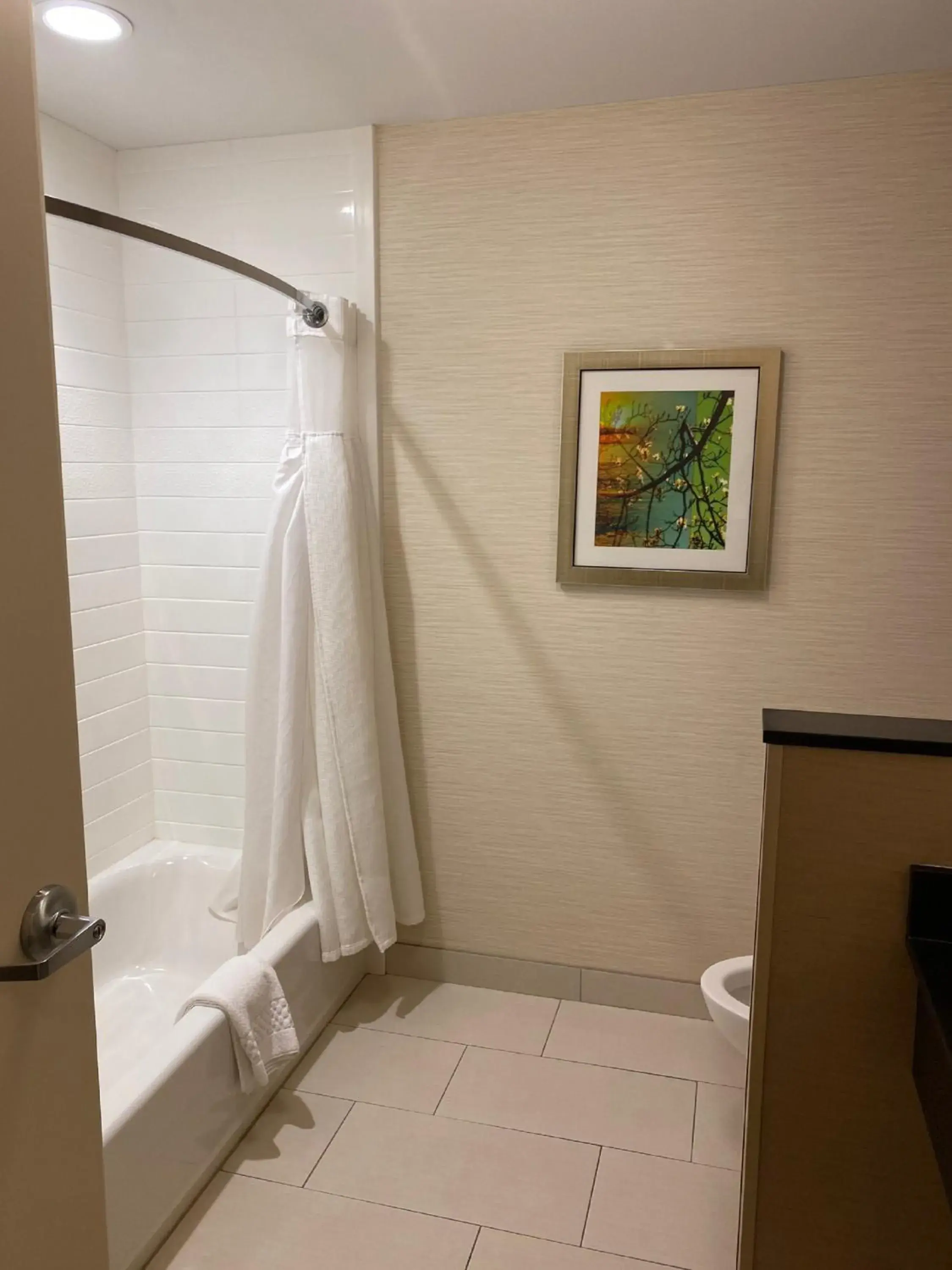 Queen Suite in Fairfield Inn & Suites by Marriott Durango Queen Suite in Fairfield Inn & Suites by Marriott Durango