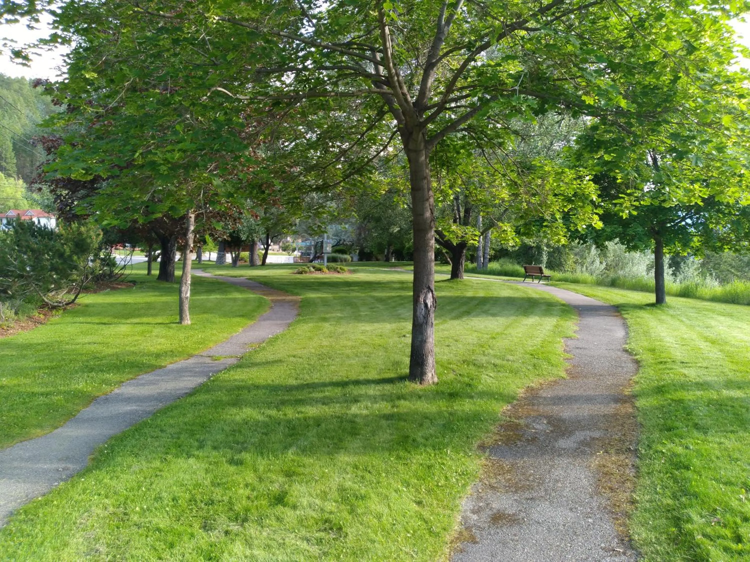 Natural landscape in AppleTree Inn