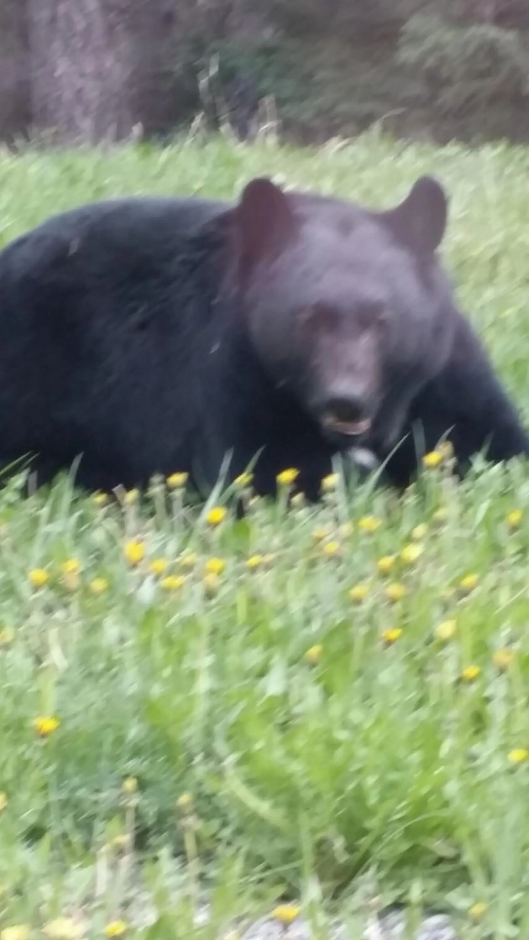Natural landscape in AppleTree Inn