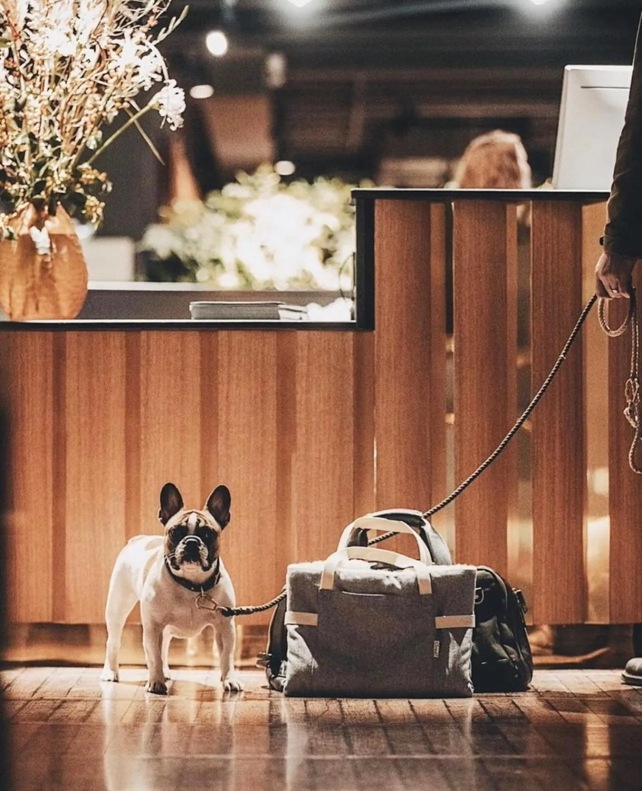 Living room in Clarion Hotel Amaranten