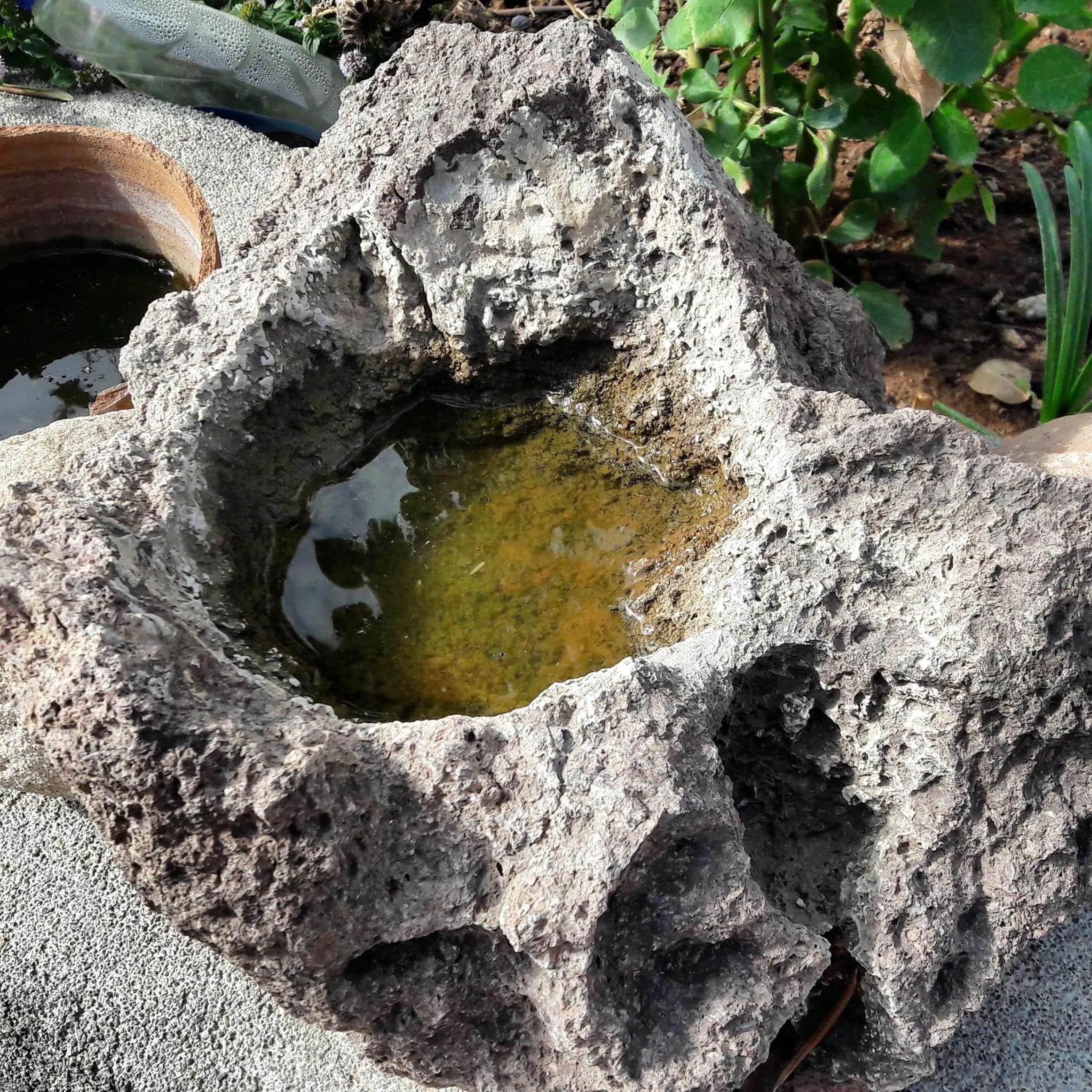 Garden in Assos Nazan Motel Restoran Beach