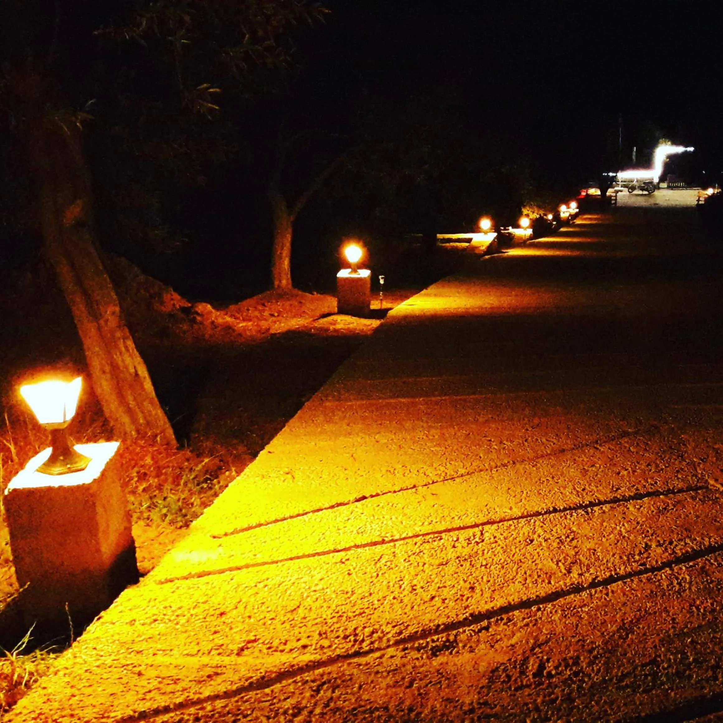 Garden view in Assos Nazan Motel Restoran Beach