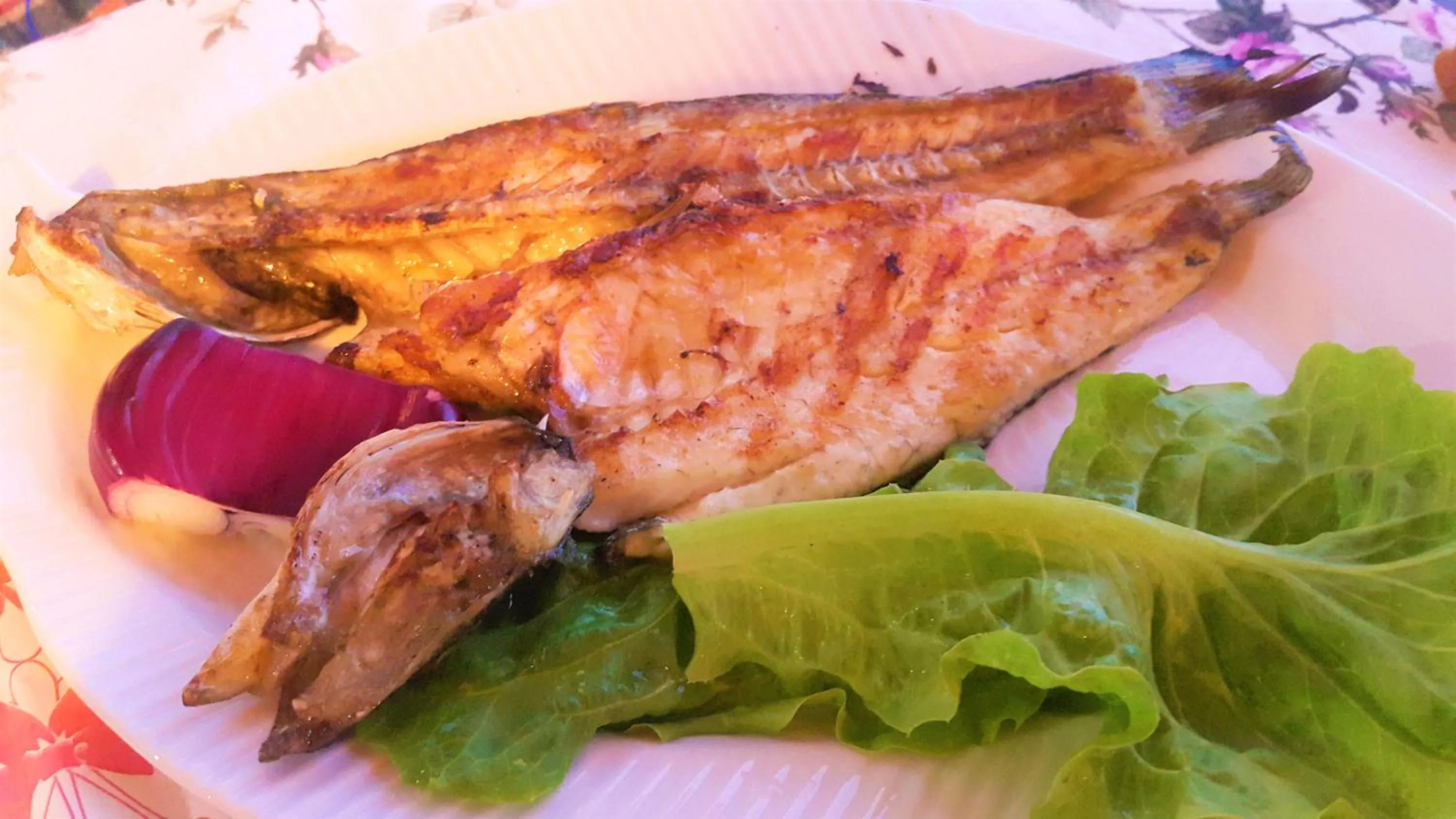 Food close-up in Assos Nazan Motel Restoran Beach
