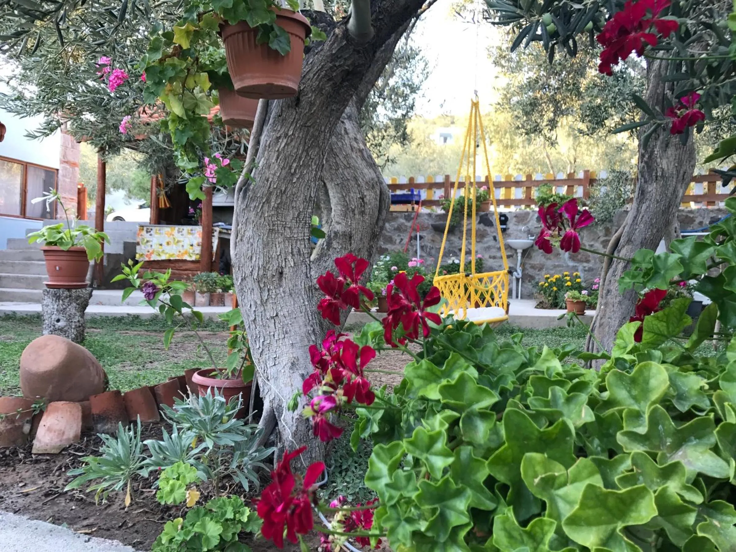 Garden in Assos Nazan Motel Restoran Beach