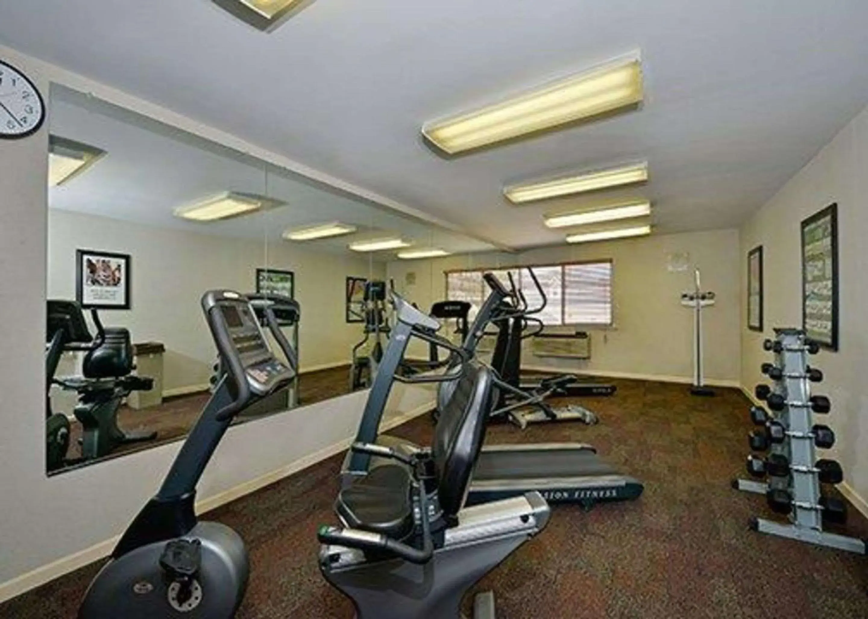 Fitness centre/facilities in Quality Inn & Suites St Charles -West Chicago Fitness centre/facilities in Quality Inn & Suites St Charles -West Chicago