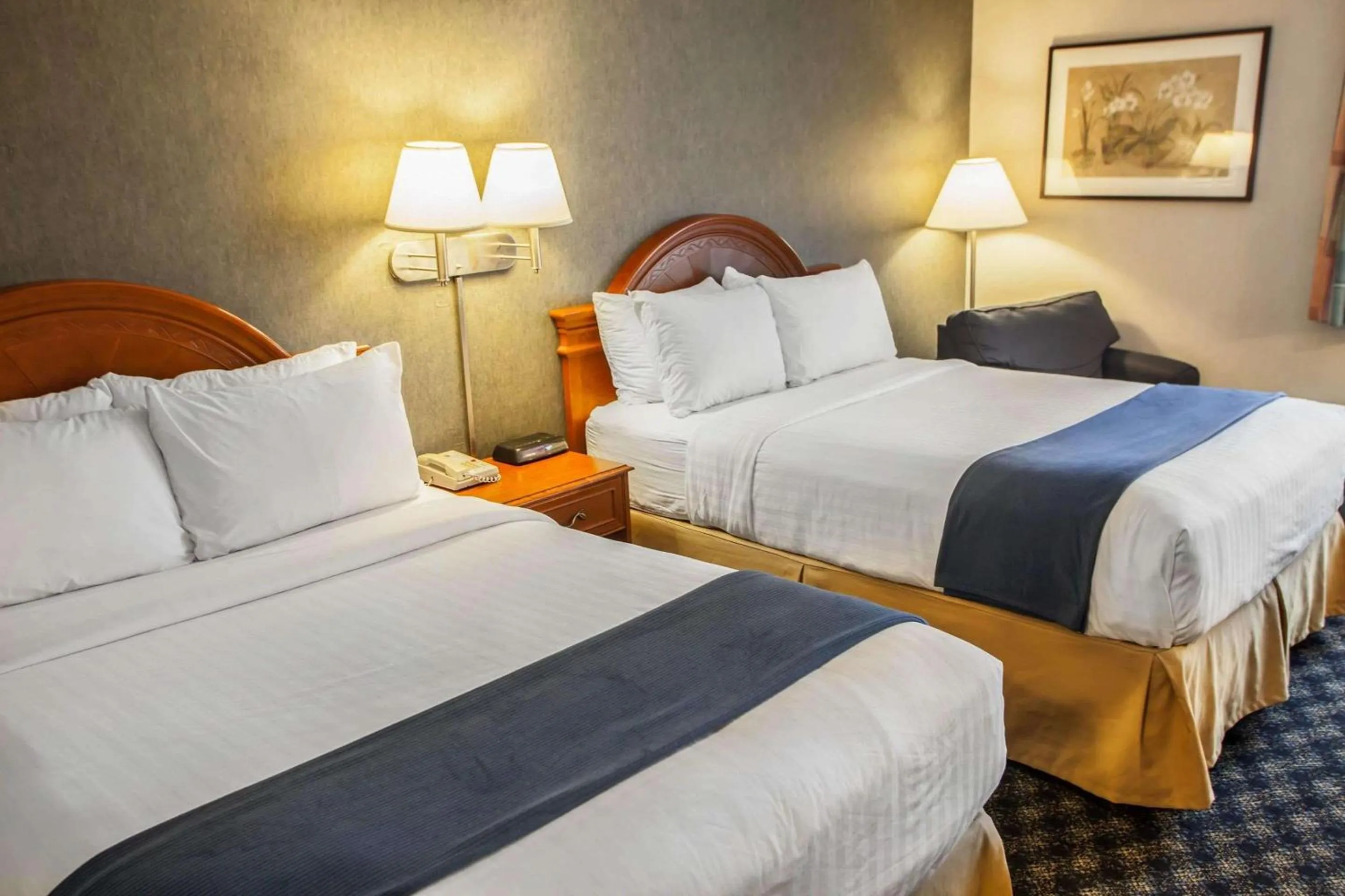 Photo of the whole room, Bed in Quality Inn & Suites St Charles -West Chicago