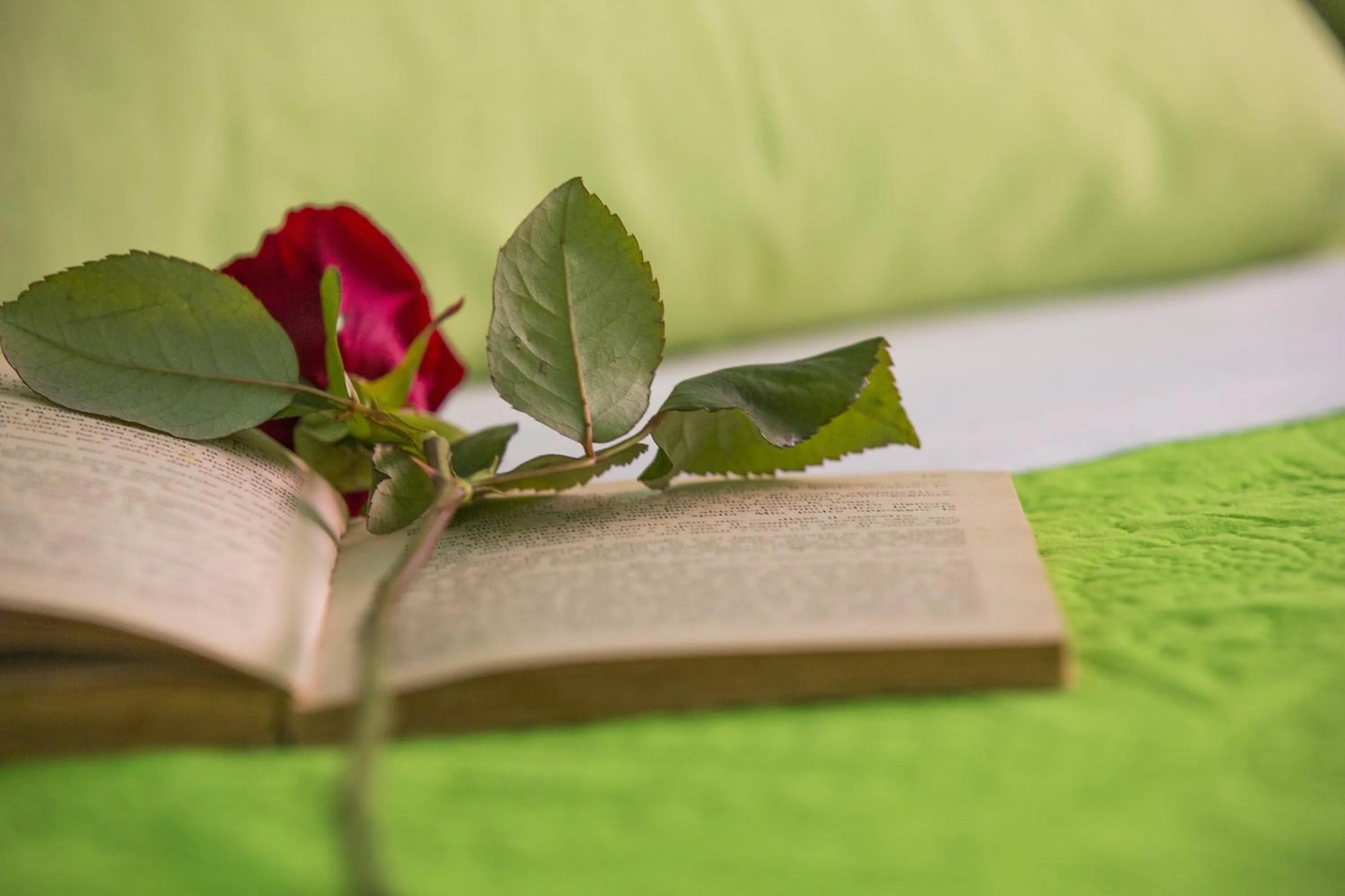 Decorative detail in B&B Giosy