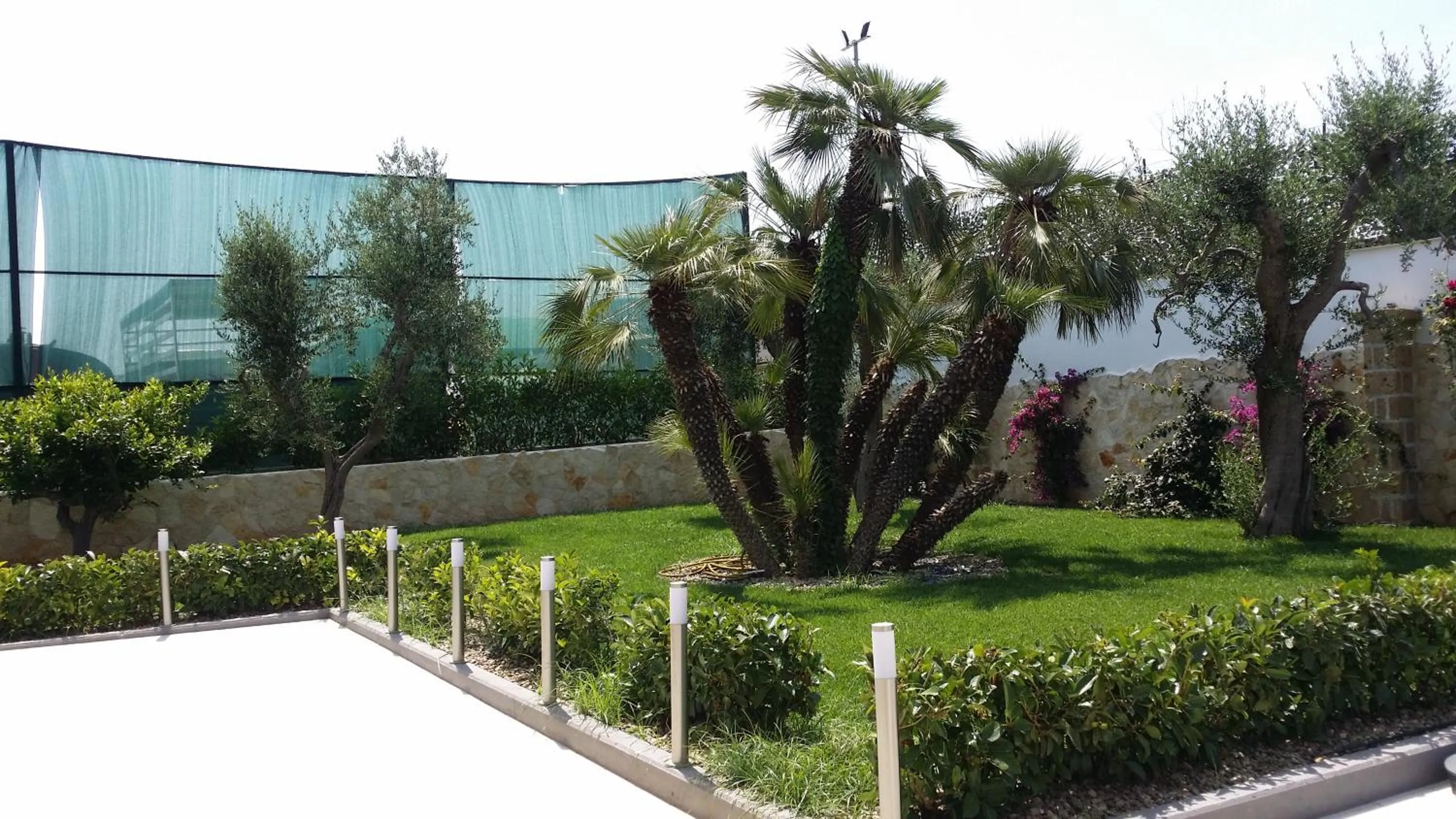 Garden view in B&B MIRAGE