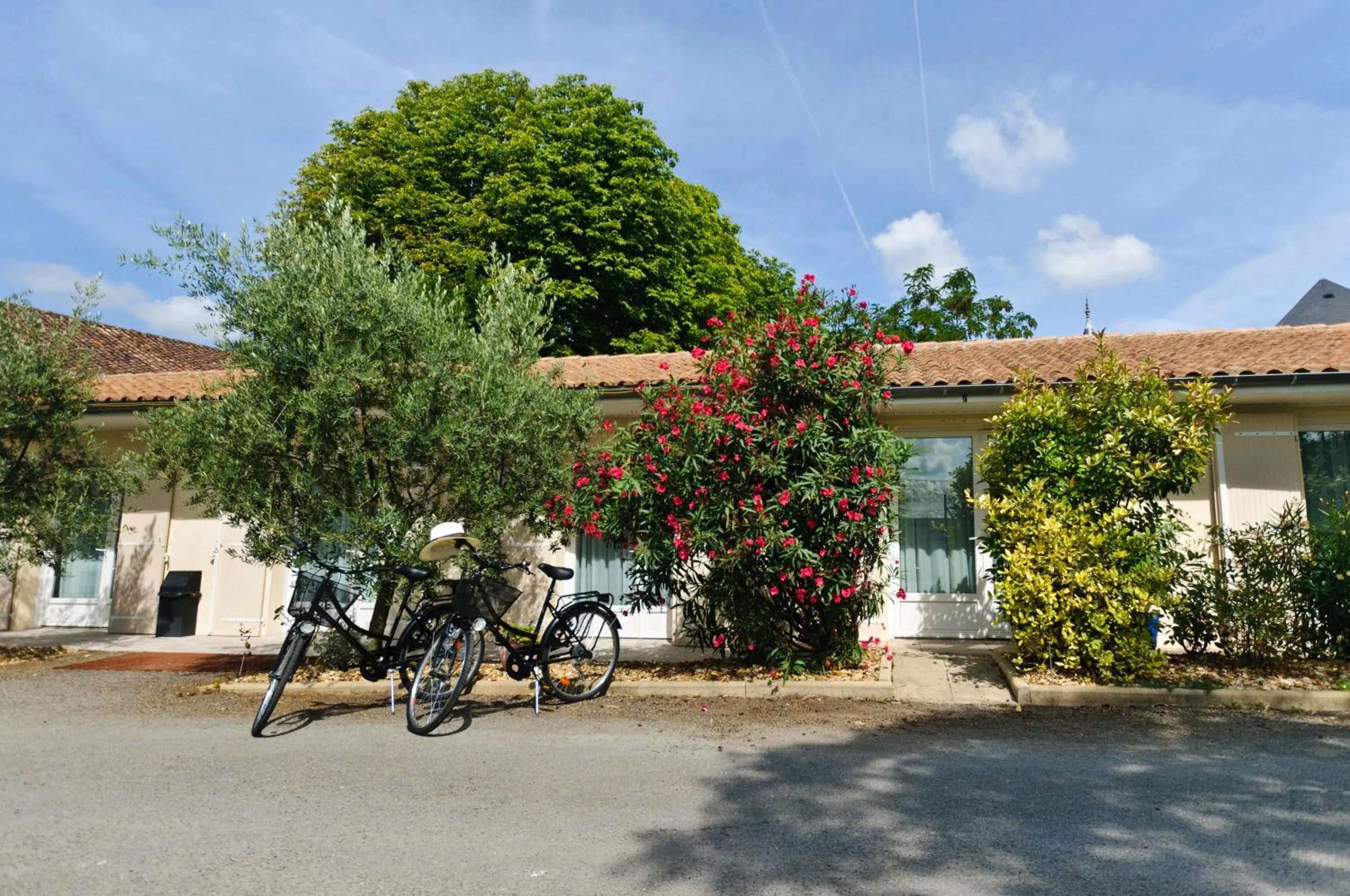 Day in Logis Hôtel L'Oliveraie