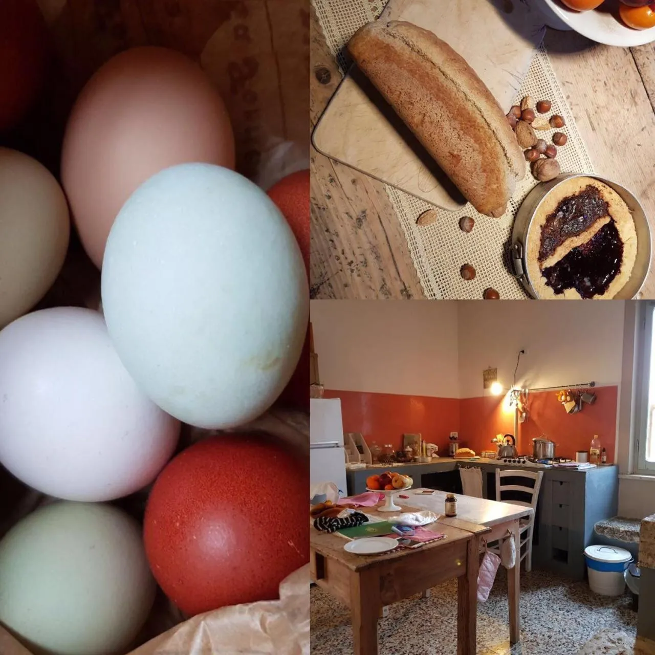 Food in Capannacce Organic and Horse Farm