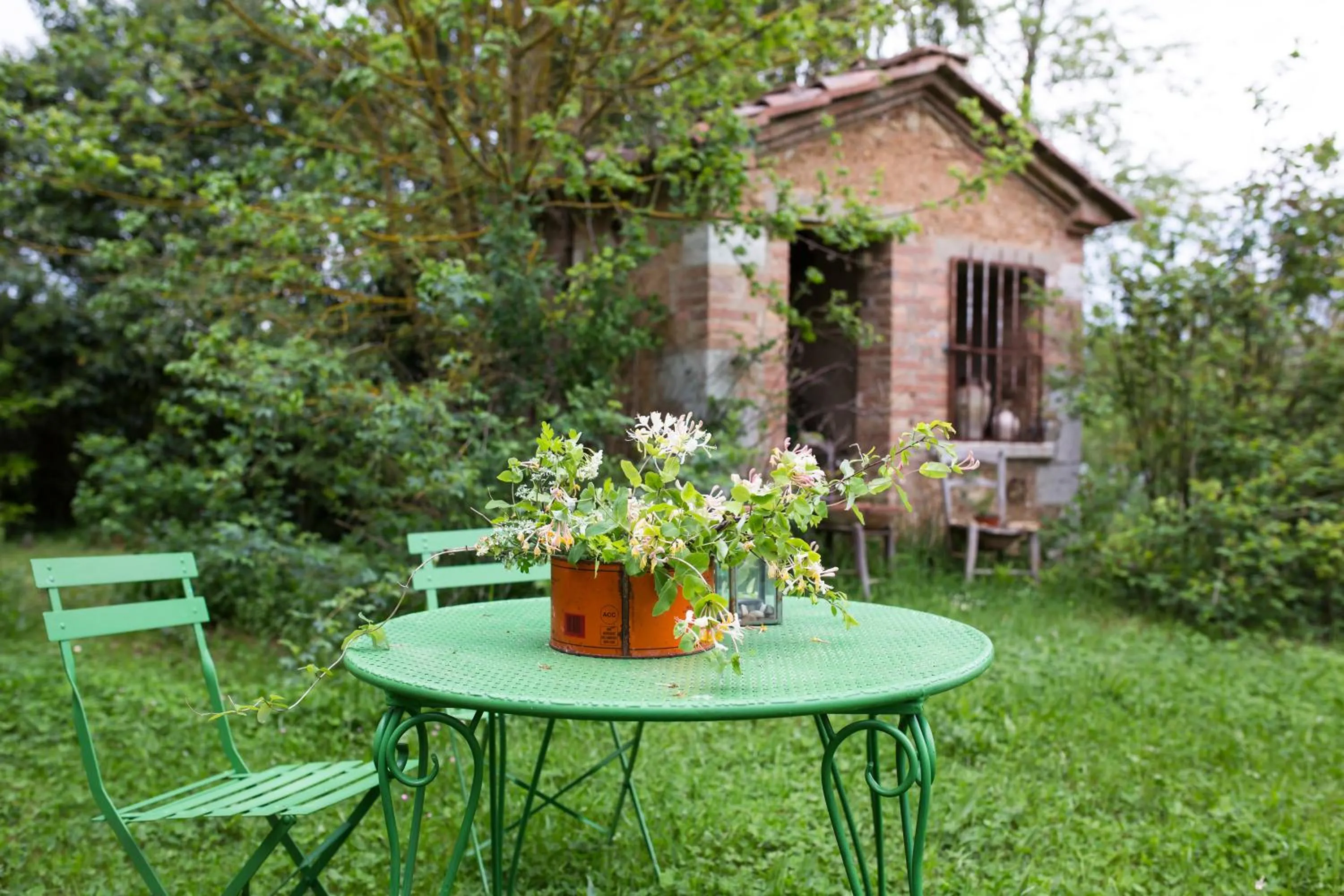 Spring in Capannacce Organic and Horse Farm