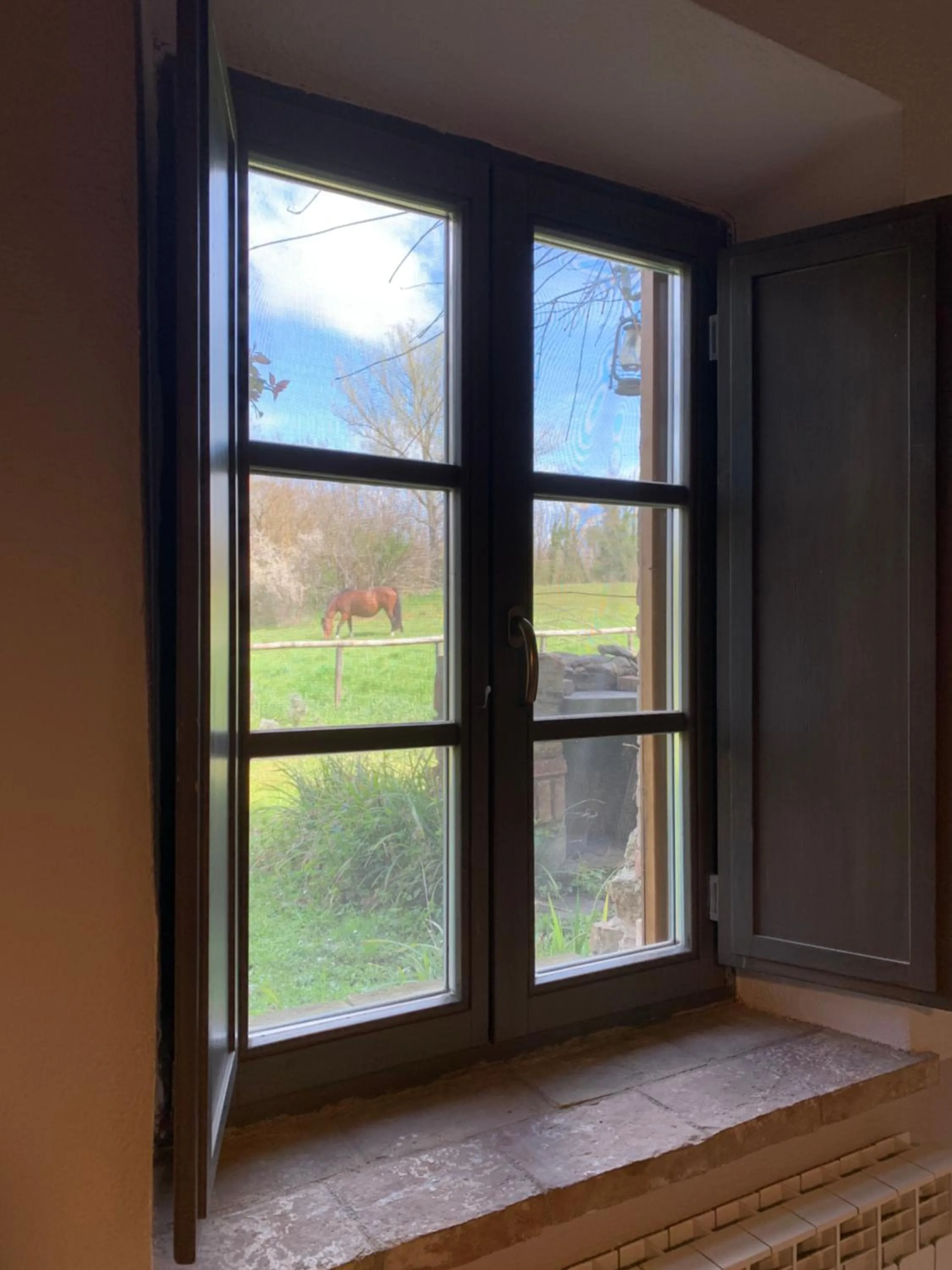 View (from property/room) in Capannacce Organic and Horse Farm