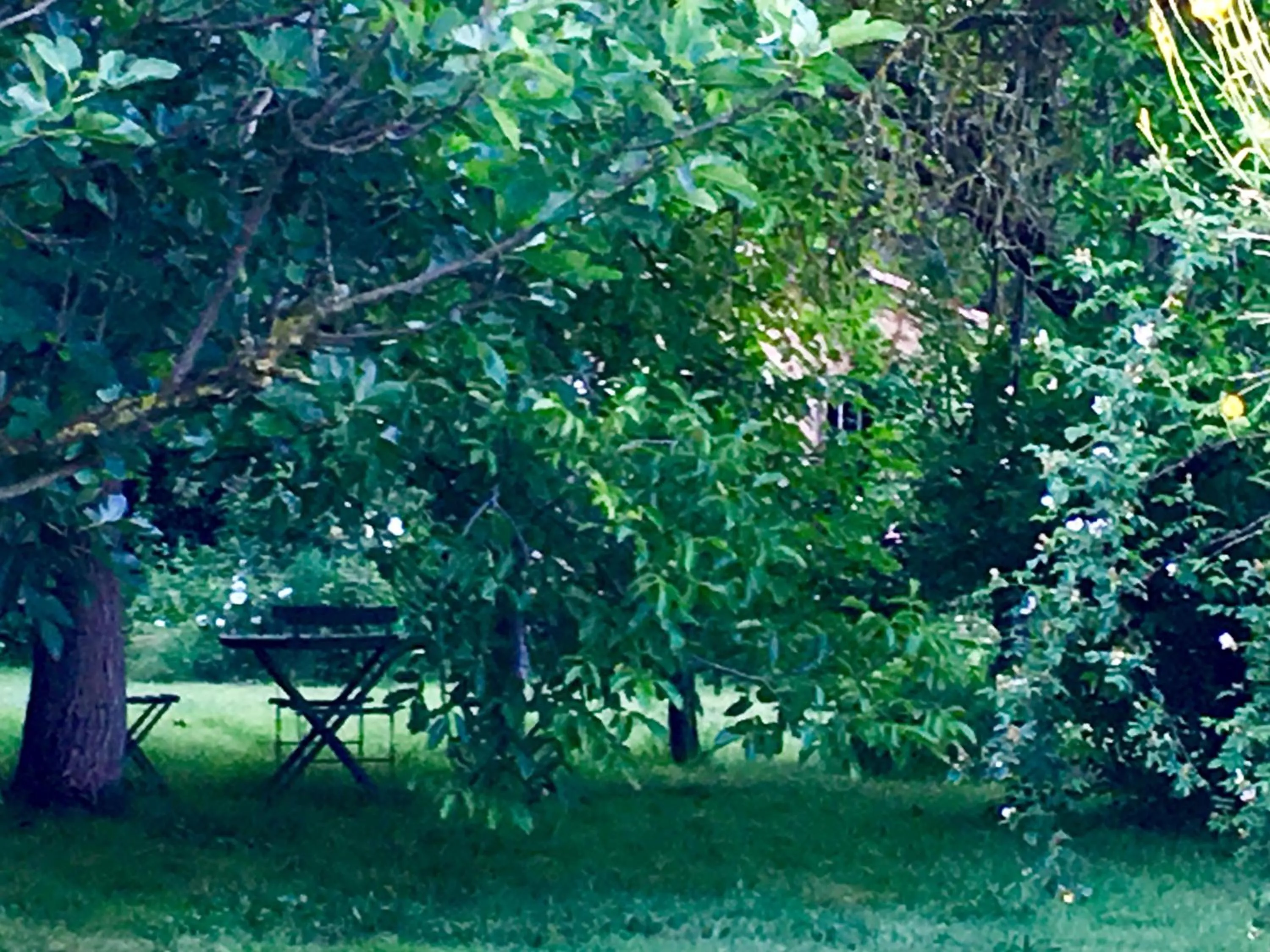 Garden in Capannacce Organic and Horse Farm