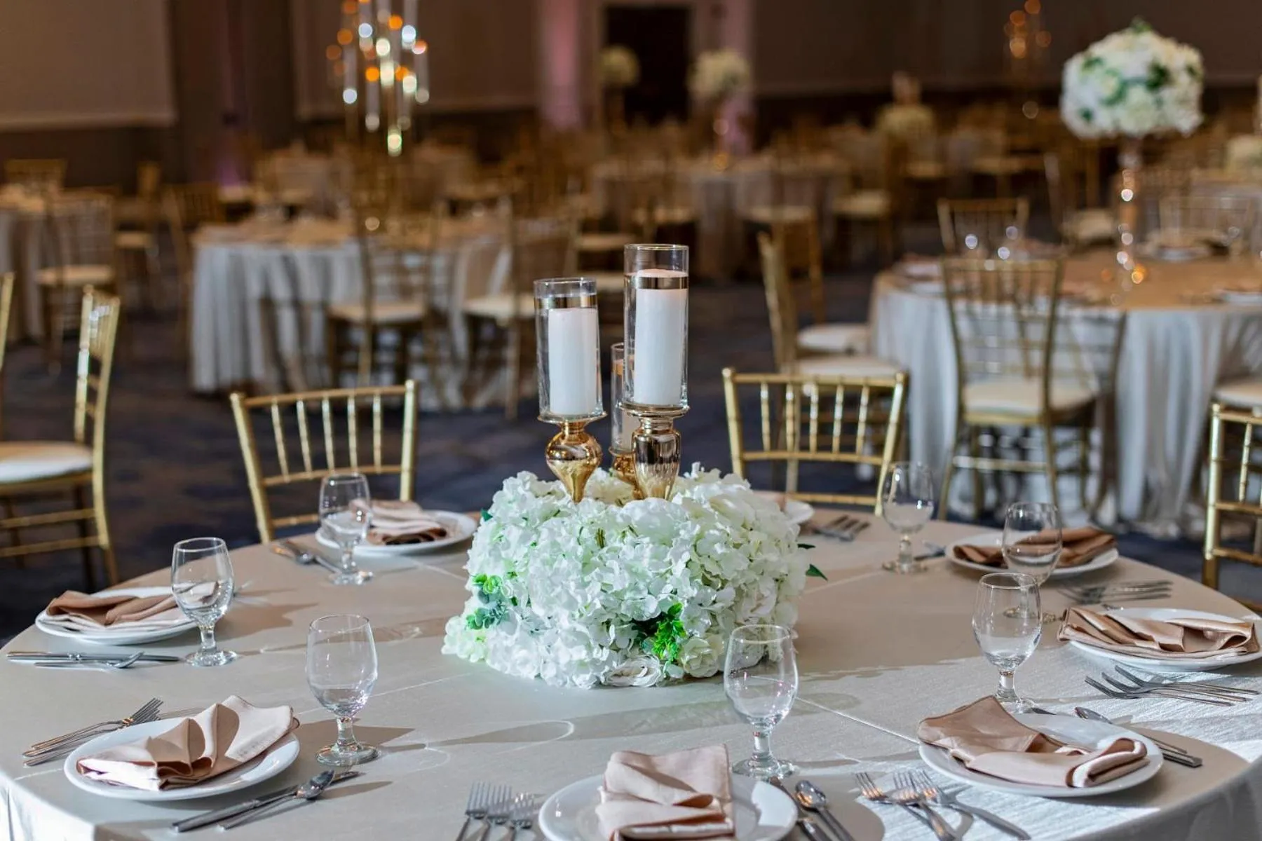 Banquet/Function facilities in Clarion Hotel & Convention Center Joliet