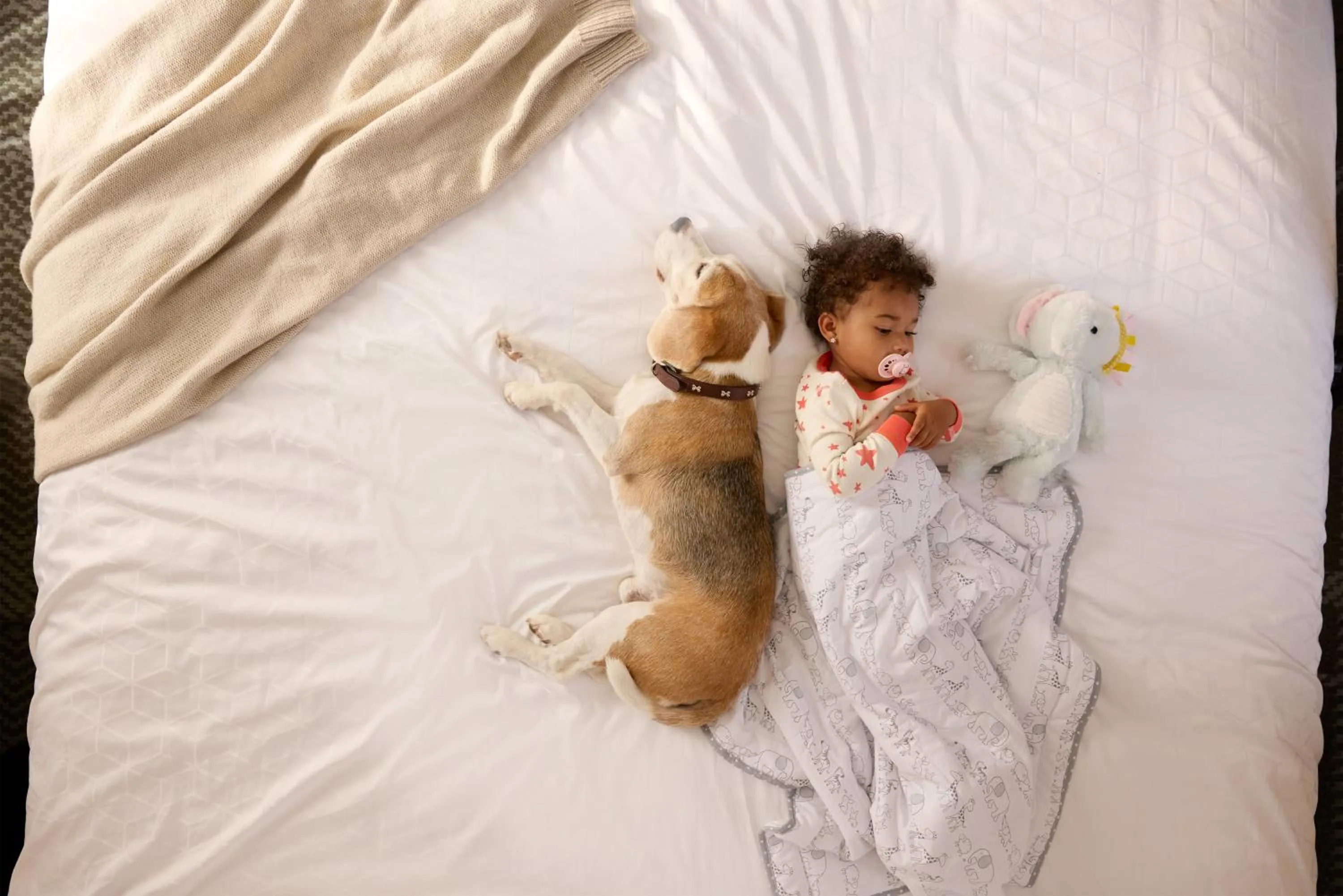 Other, Bed in Staybridge Suites Silicon Valley - Milpitas by IHG