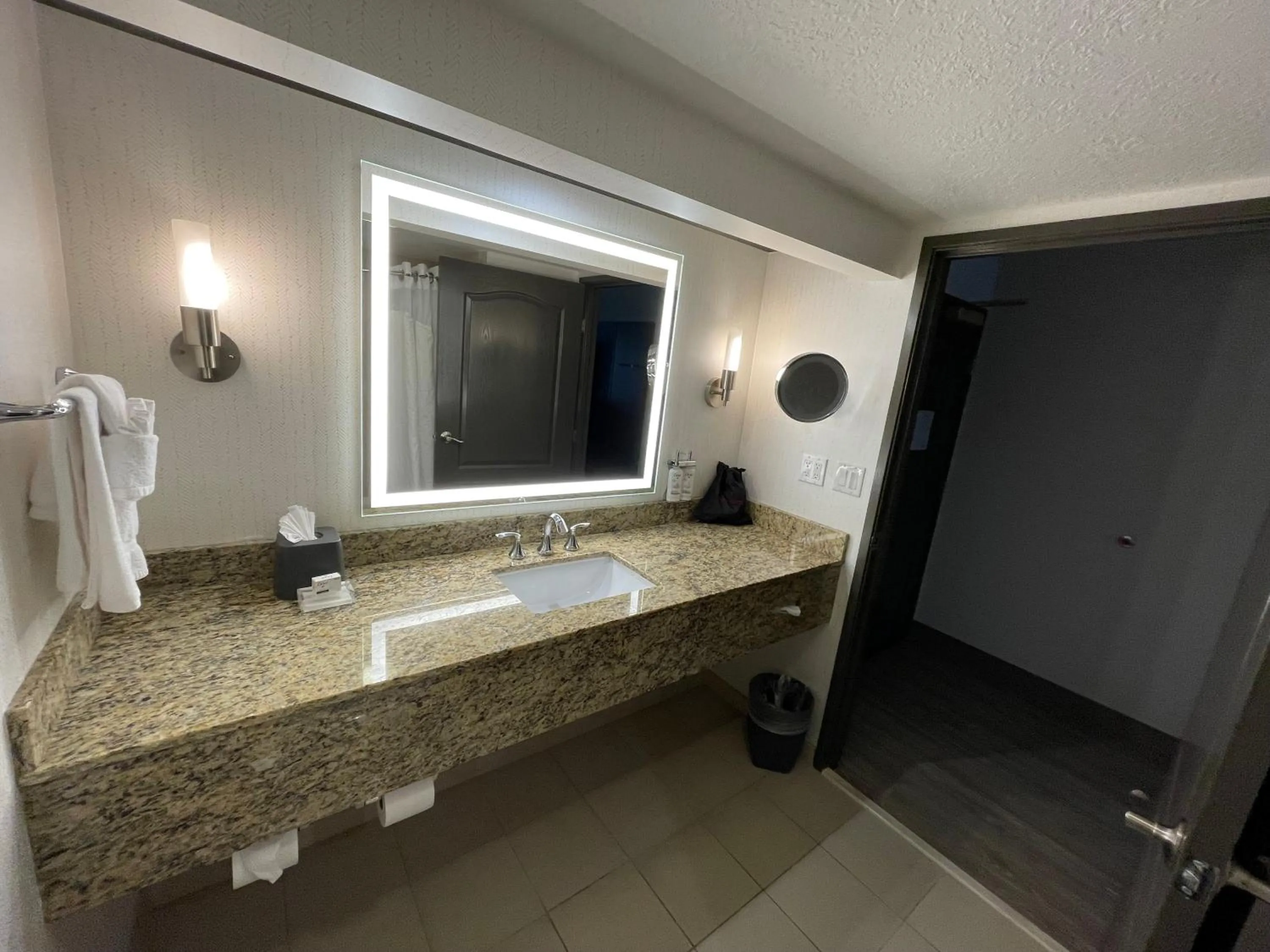 Bathroom in Holiday Inn Hotel & Suites Chicago Northwest - Elgin by IHG