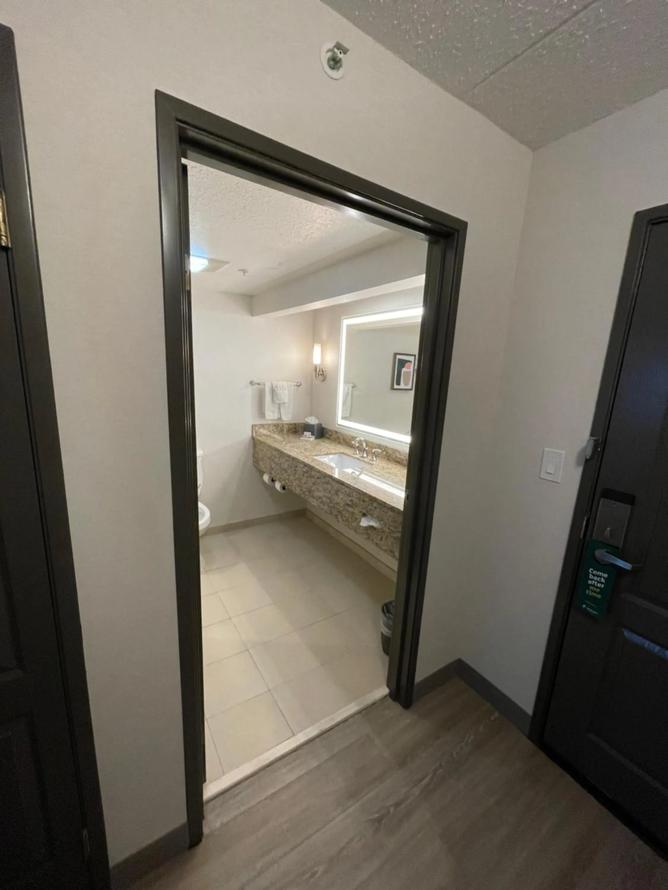 wardrobe, Bed in Holiday Inn Hotel & Suites Chicago Northwest - Elgin by IHG