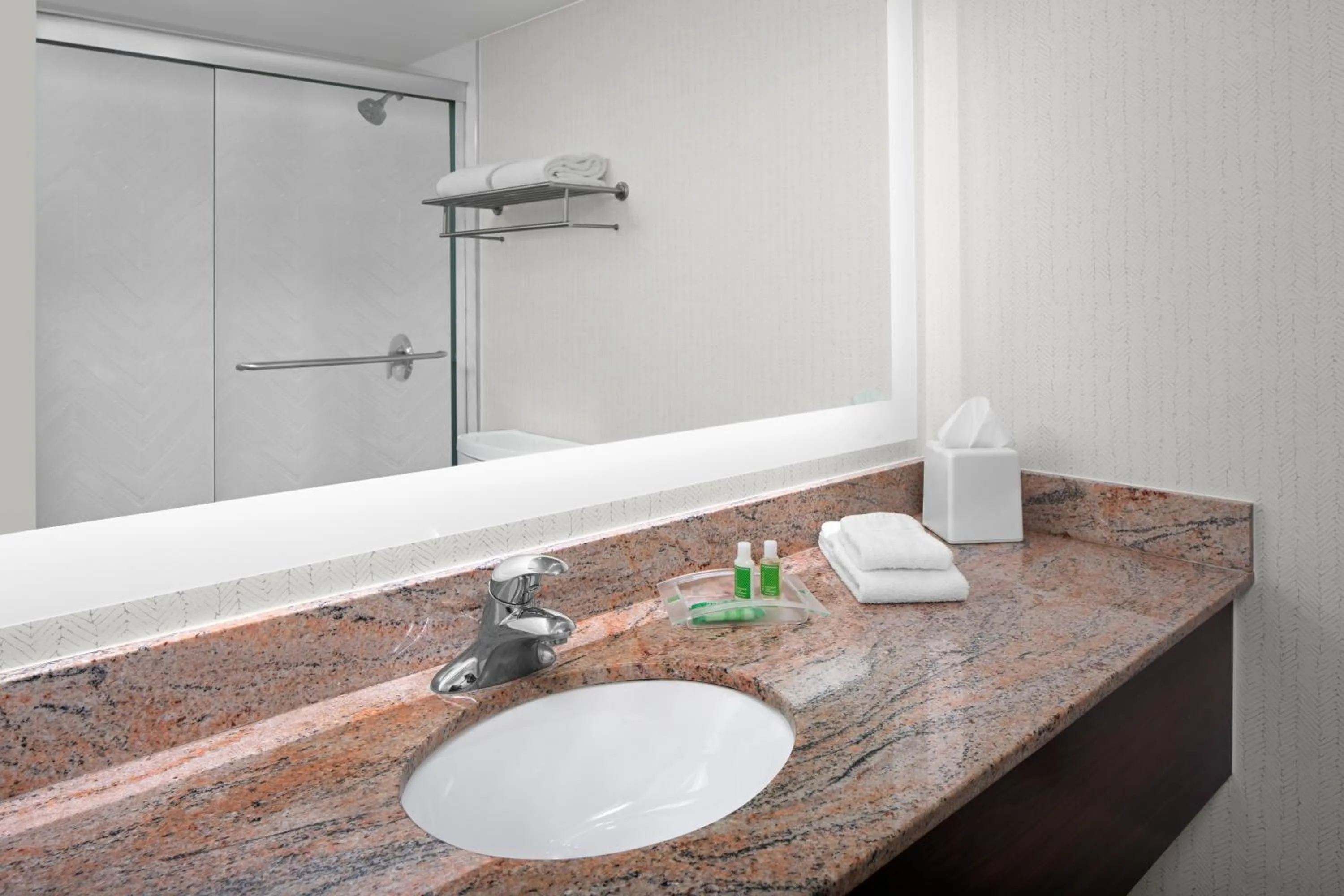 Bathroom in Holiday Inn Hasbrouck Heights-Meadowlands by IHG