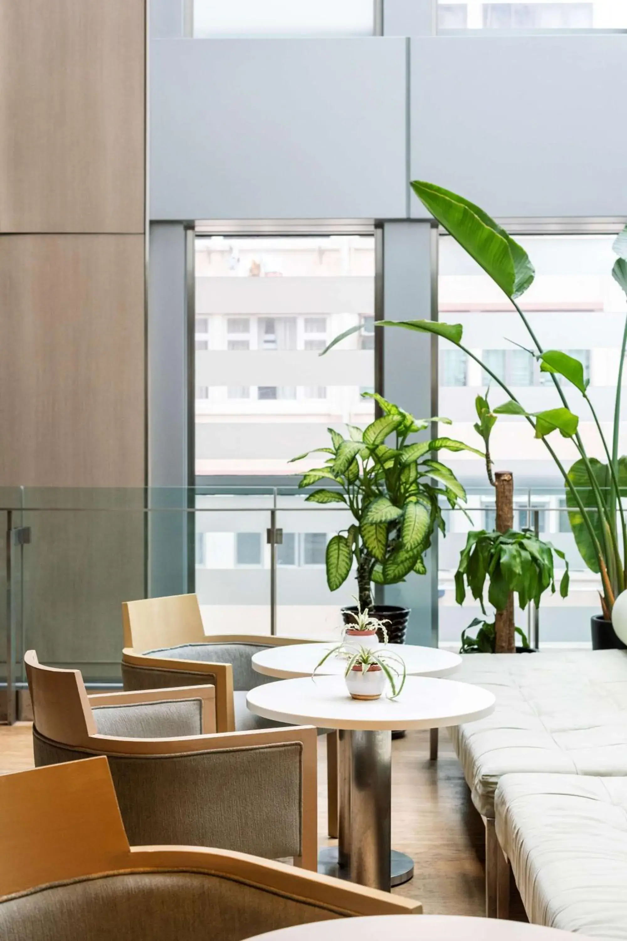 Restaurant/places to eat in Jen Hong Kong by Shangri-La Restaurant/places to eat in Jen Hong Kong by Shangri-La