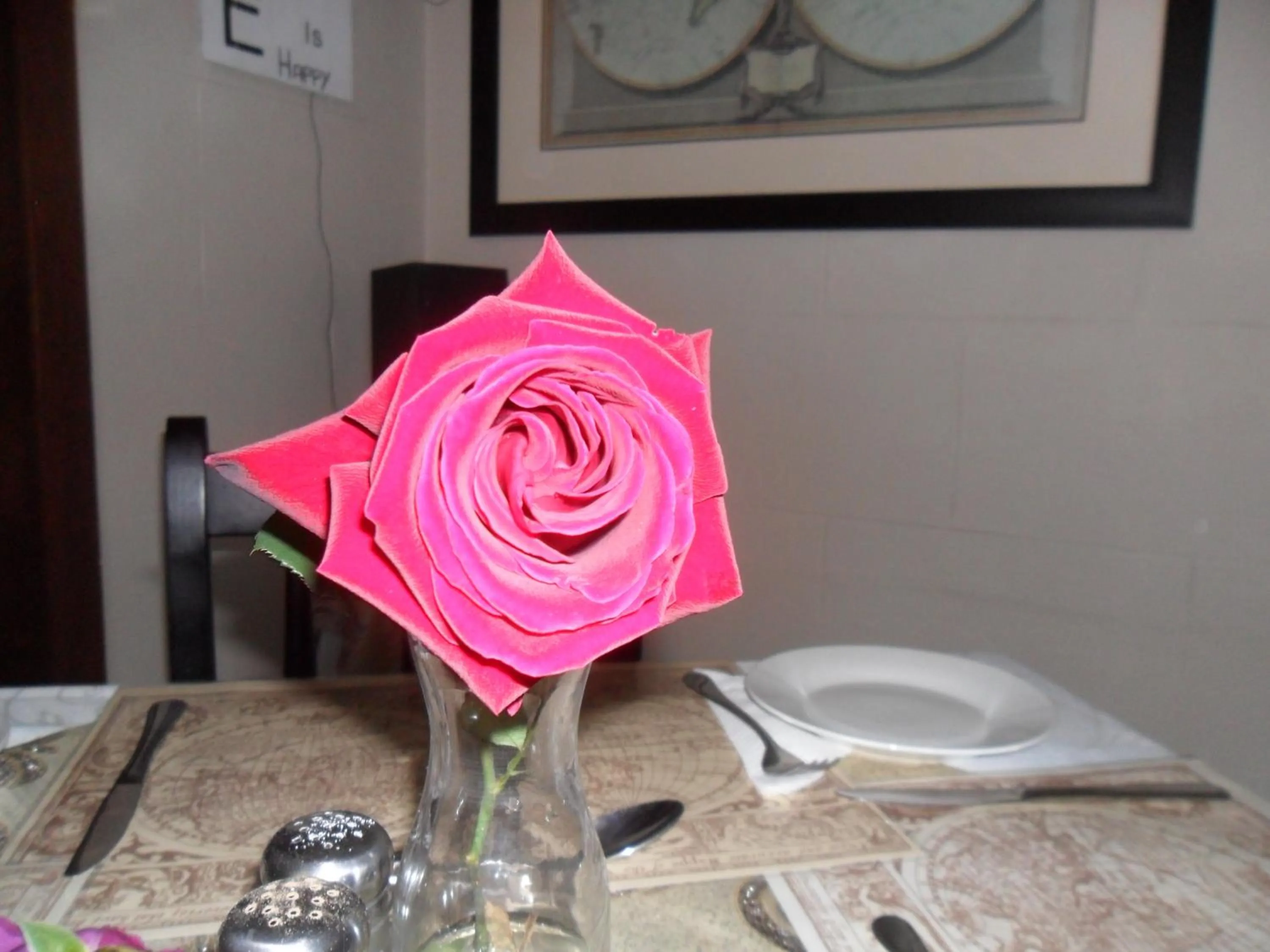 Natural landscape in Convent Hill Lodge