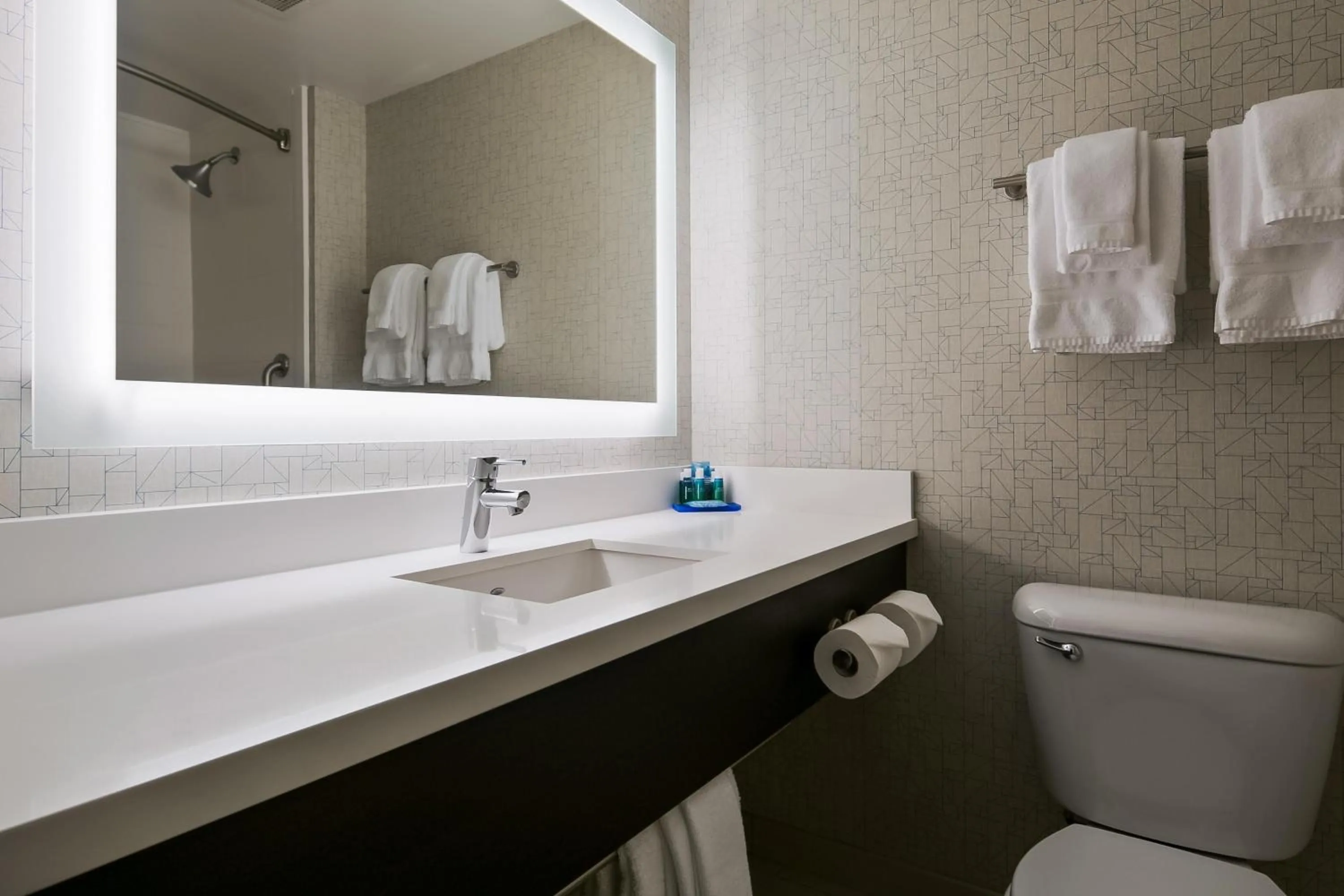 Bathroom in Holiday Inn Express Hotels & Suites Burlington by IHG
