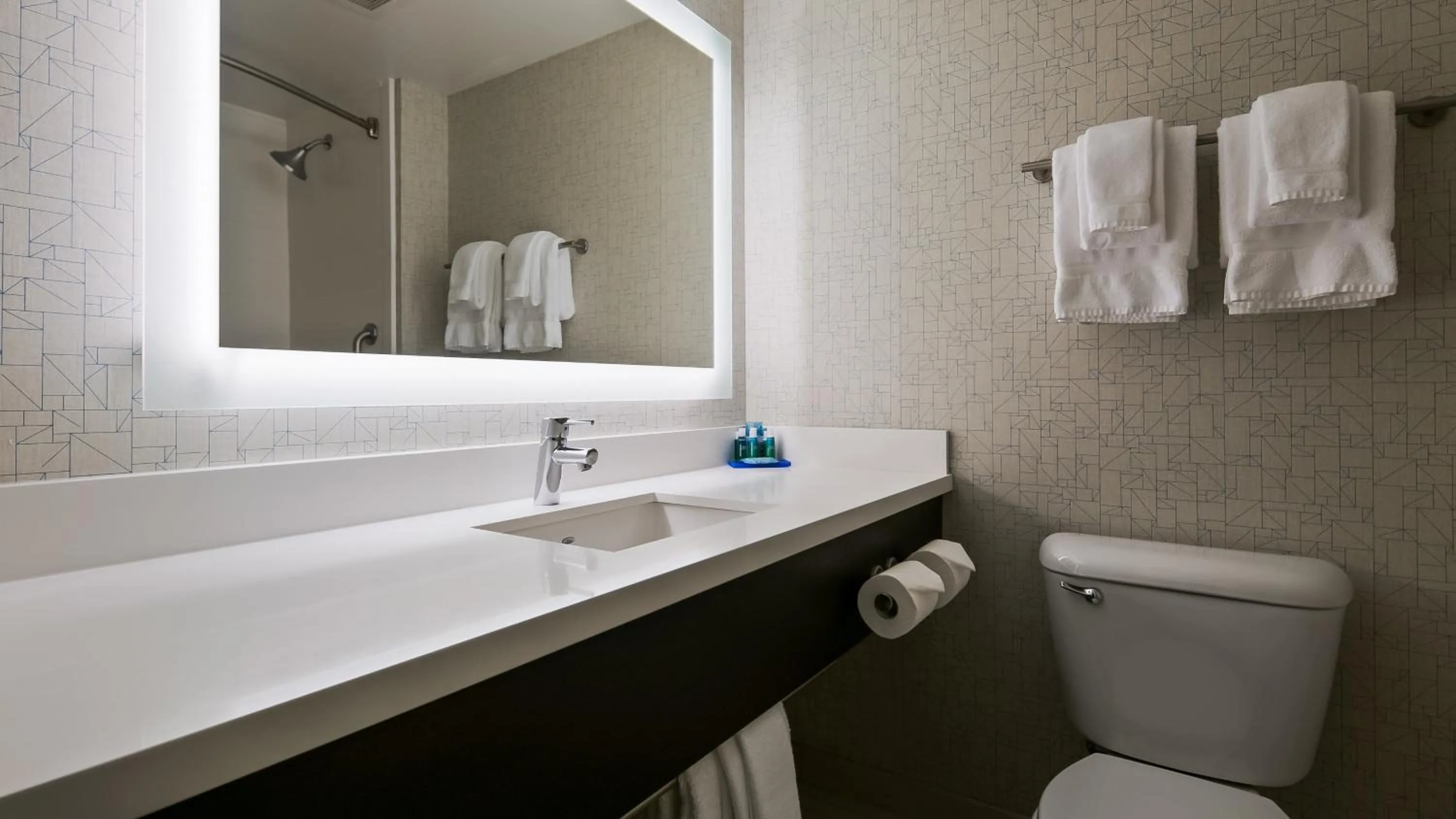 Bathroom in Holiday Inn Express Hotels & Suites Burlington by IHG