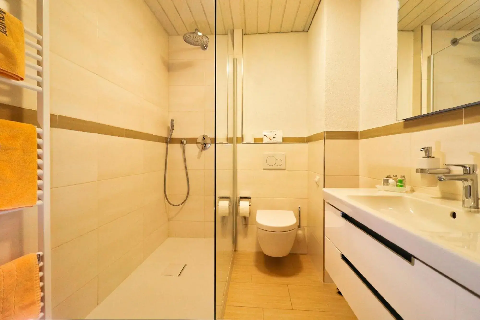 Shower, Bathroom in Hotel Maurer