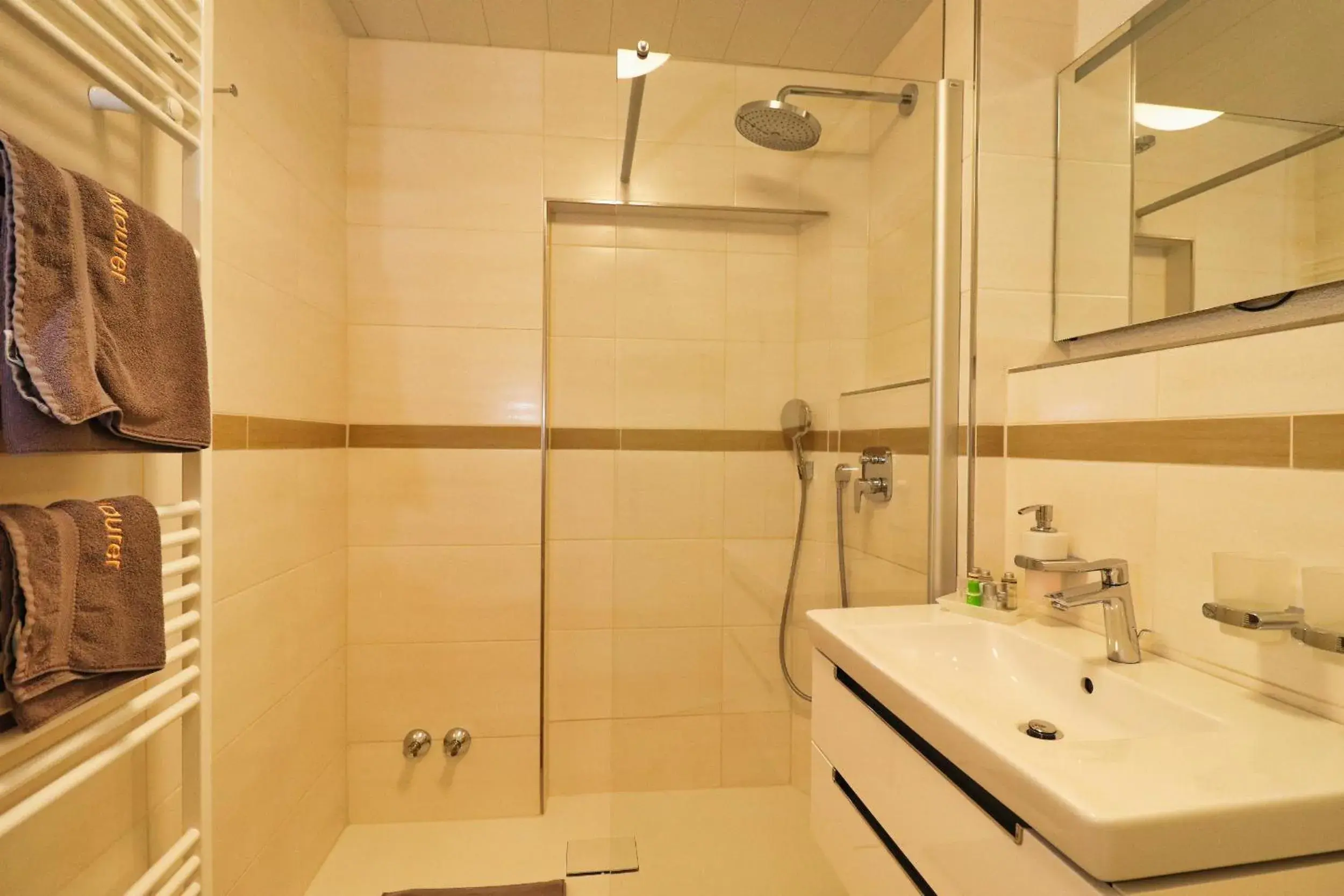 Shower, Bathroom in Hotel Maurer