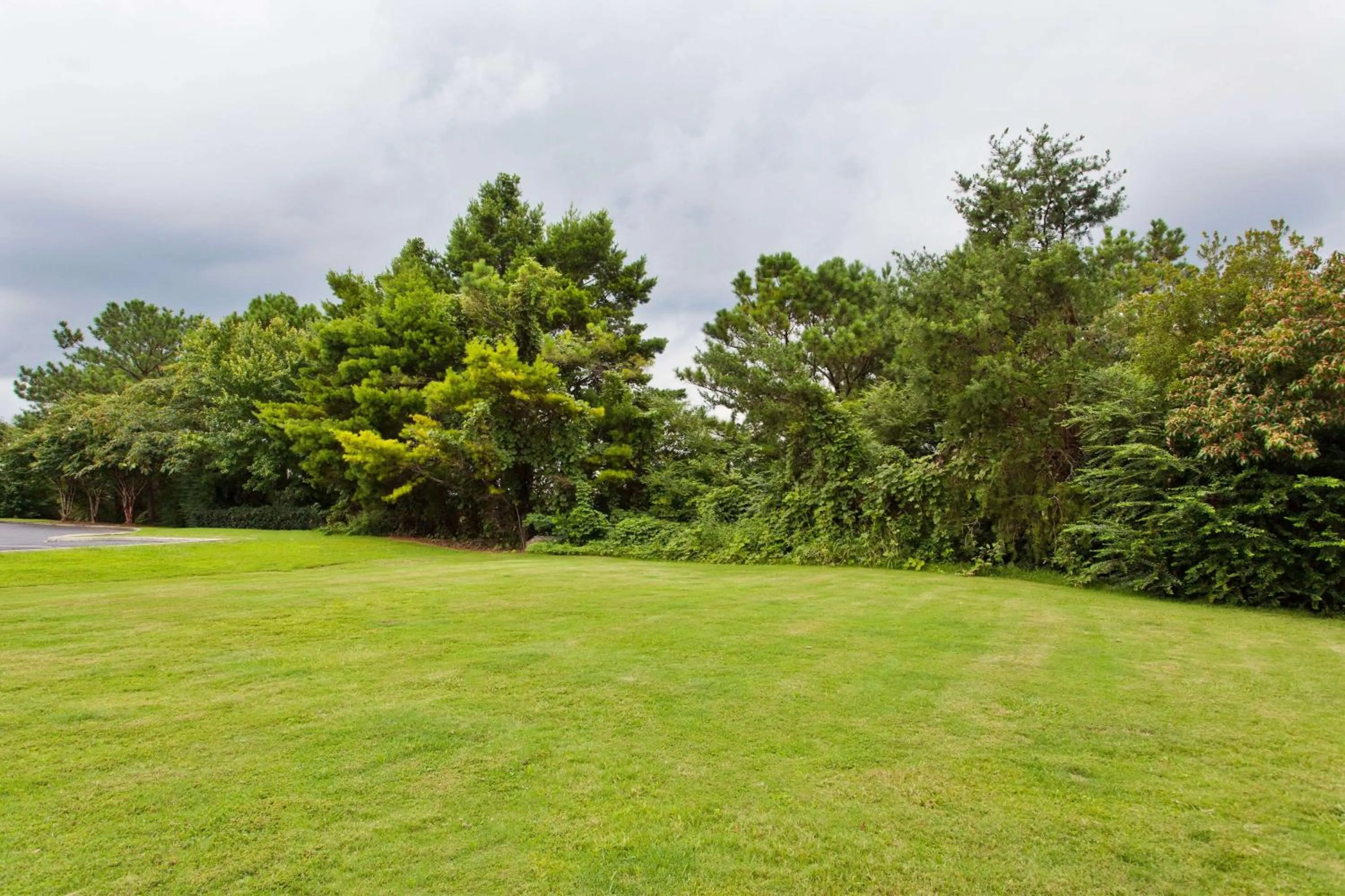 Natural landscape in Sonesta Simply Suites Chicago Libertyville