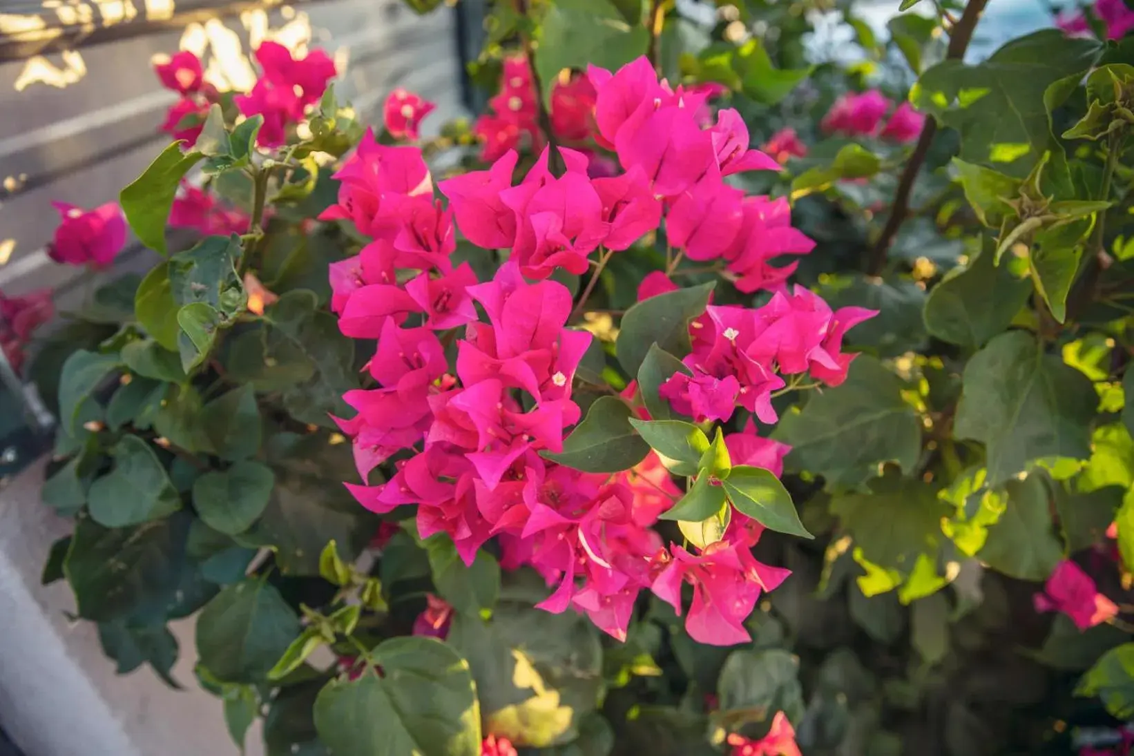 Property building in Inn at Palm Springs Property building in Inn at Palm Springs