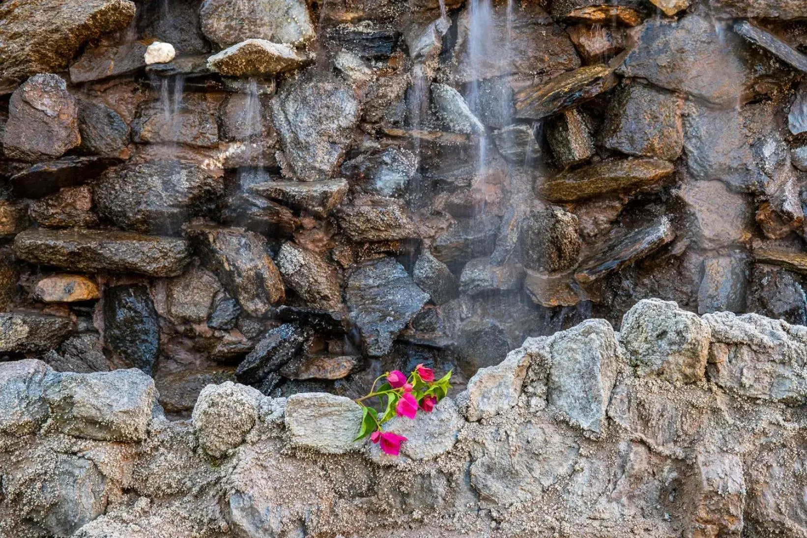 Property building in Inn at Palm Springs Property building in Inn at Palm Springs