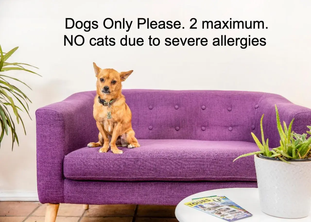 Inn at Palm Springs Inn at Palm Springs