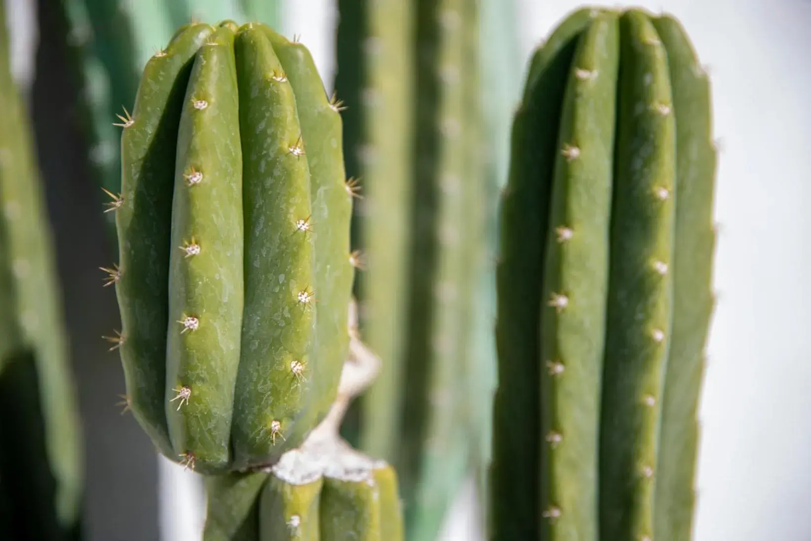 Property building in Inn at Palm Springs Property building in Inn at Palm Springs