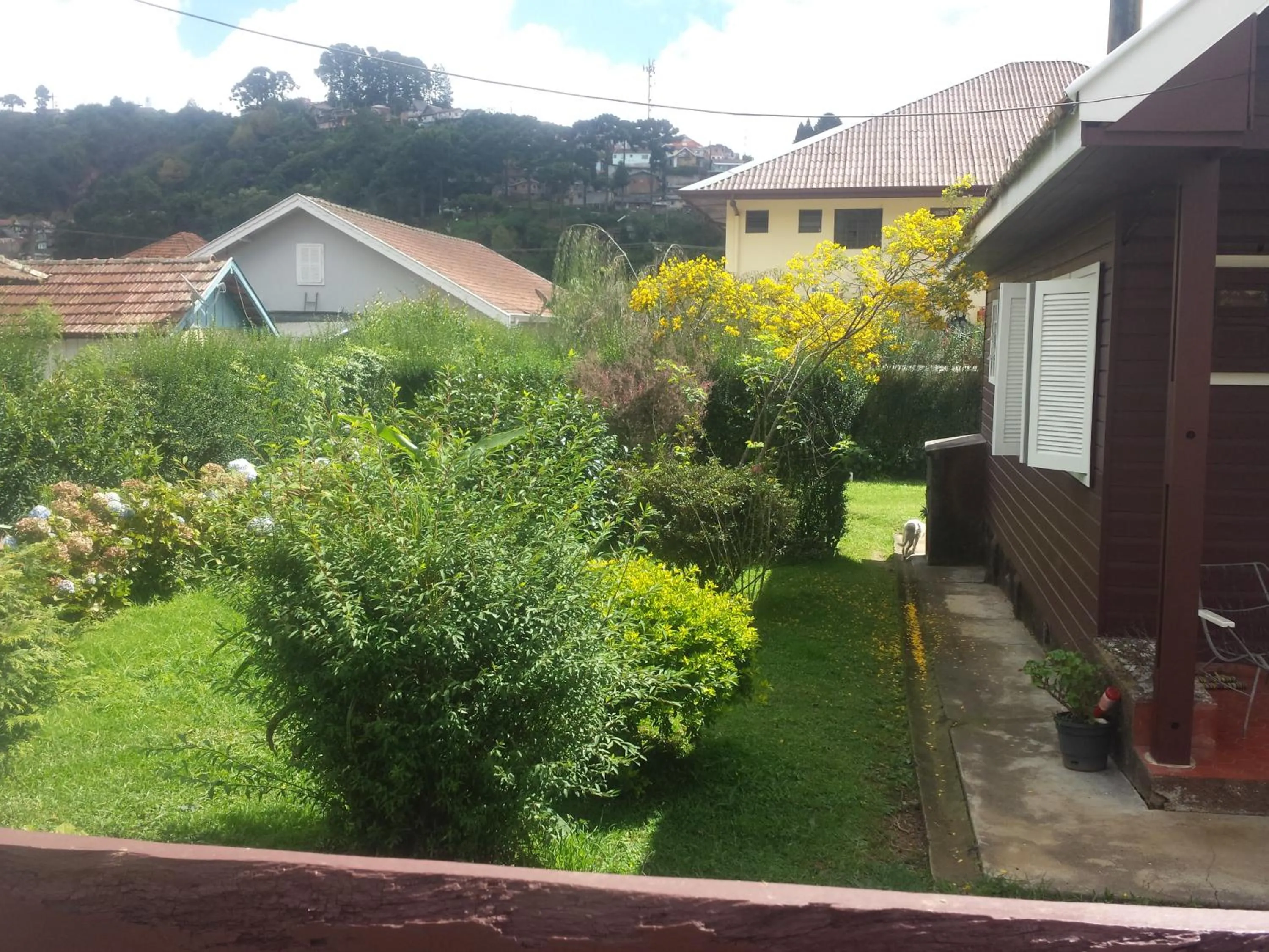 Garden in Chale de Madeira - Lareira e Fogueira---lindo gramado com mesa para café da manhã, churrasqueira e fogueira