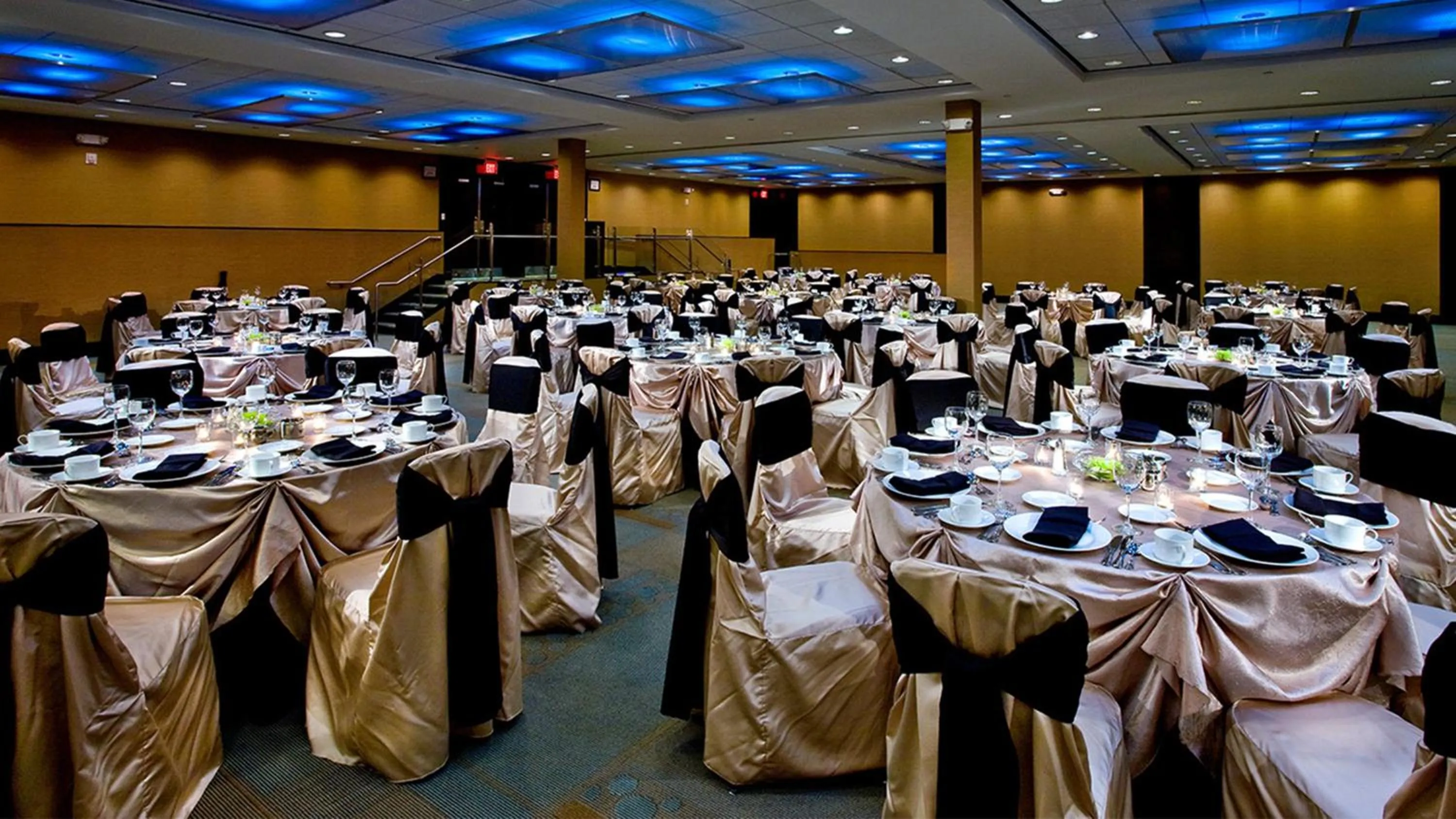 Banquet/Function facilities in Crowne Plaza Hotel Glen Ellyn/Lombard by IHG